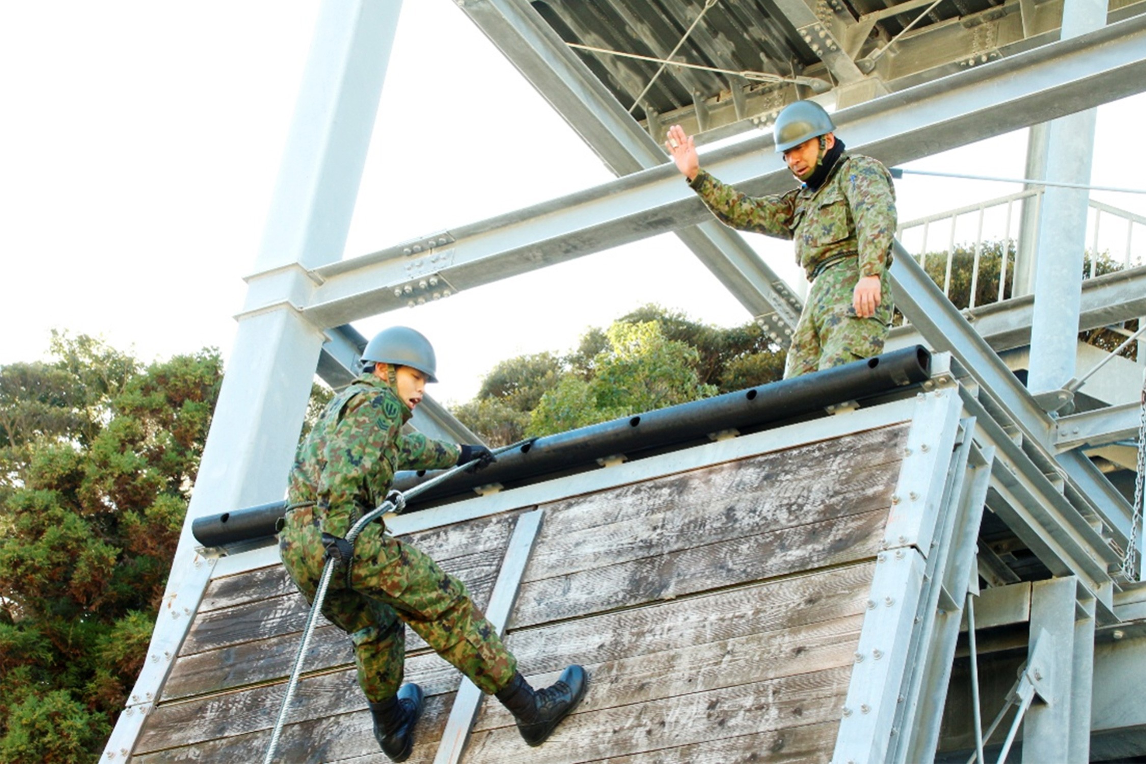セクション画像