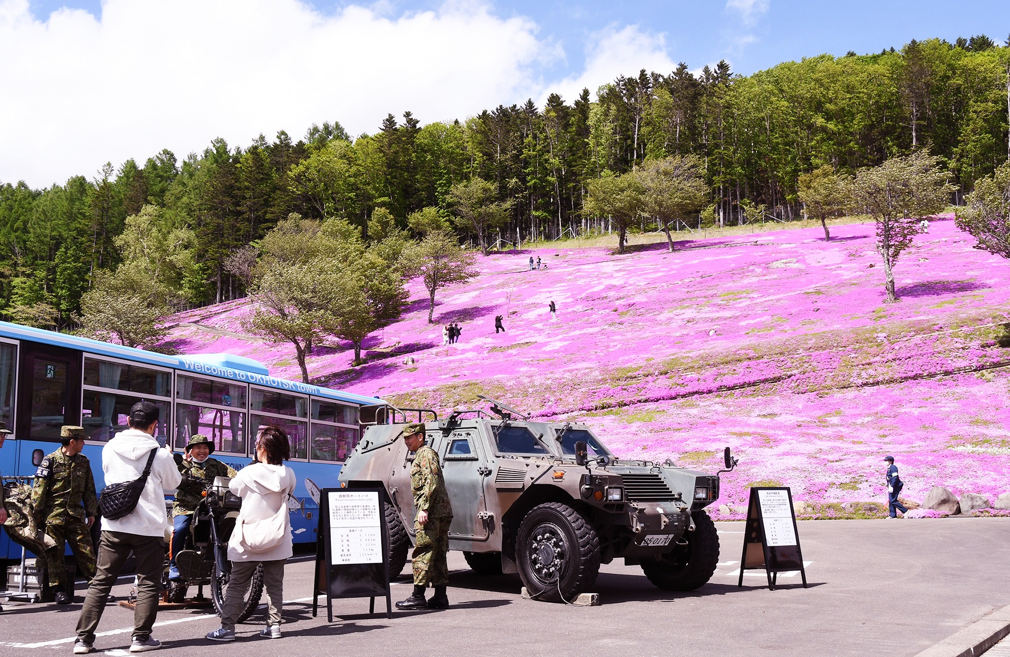 セクション画像