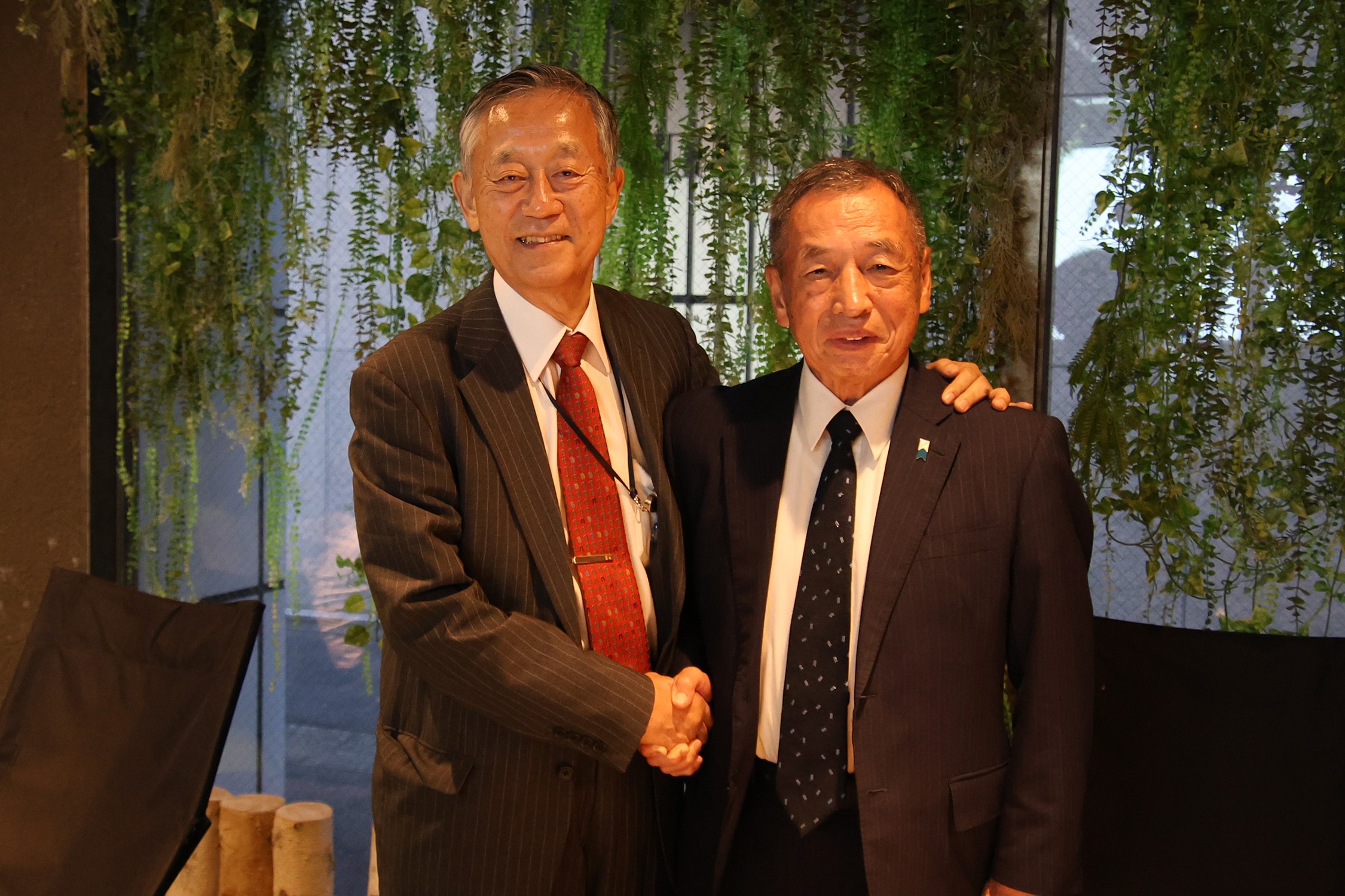 セクション画像