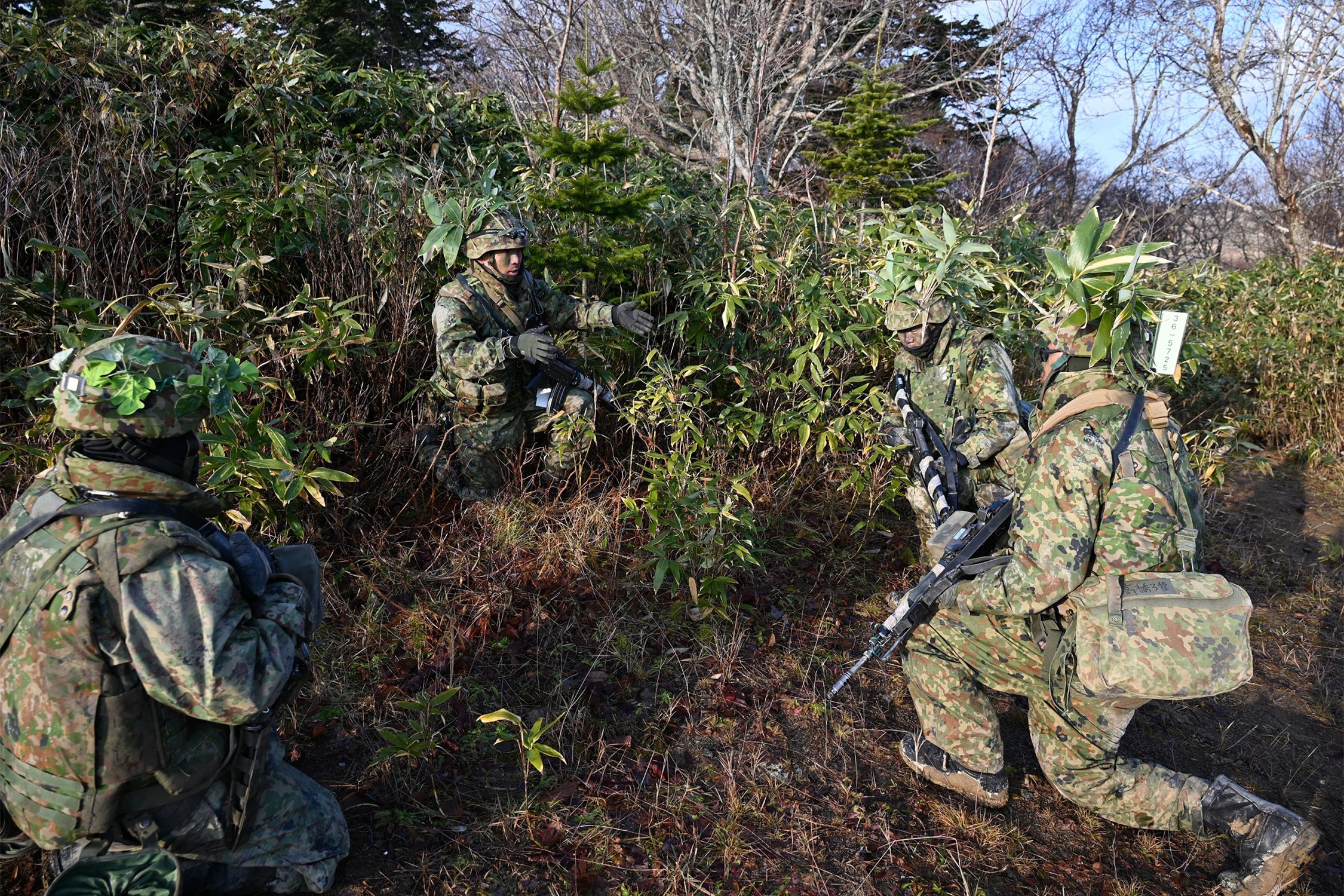 セクション画像