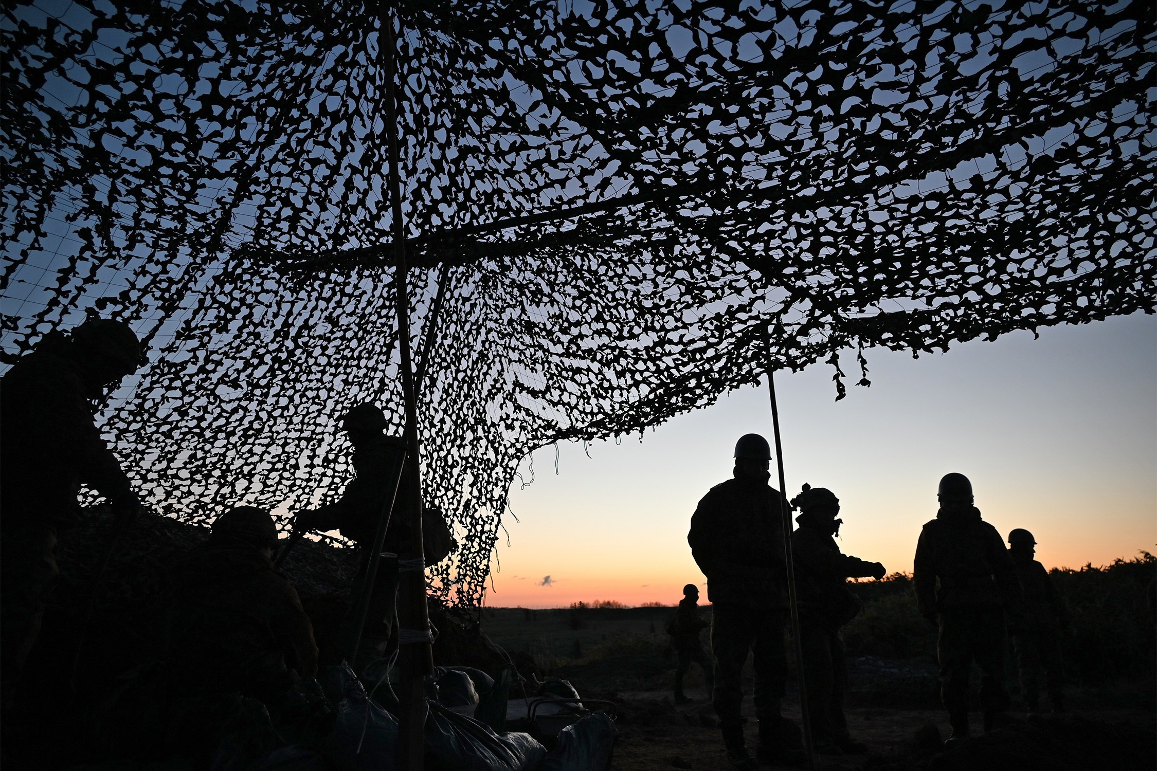 セクション画像