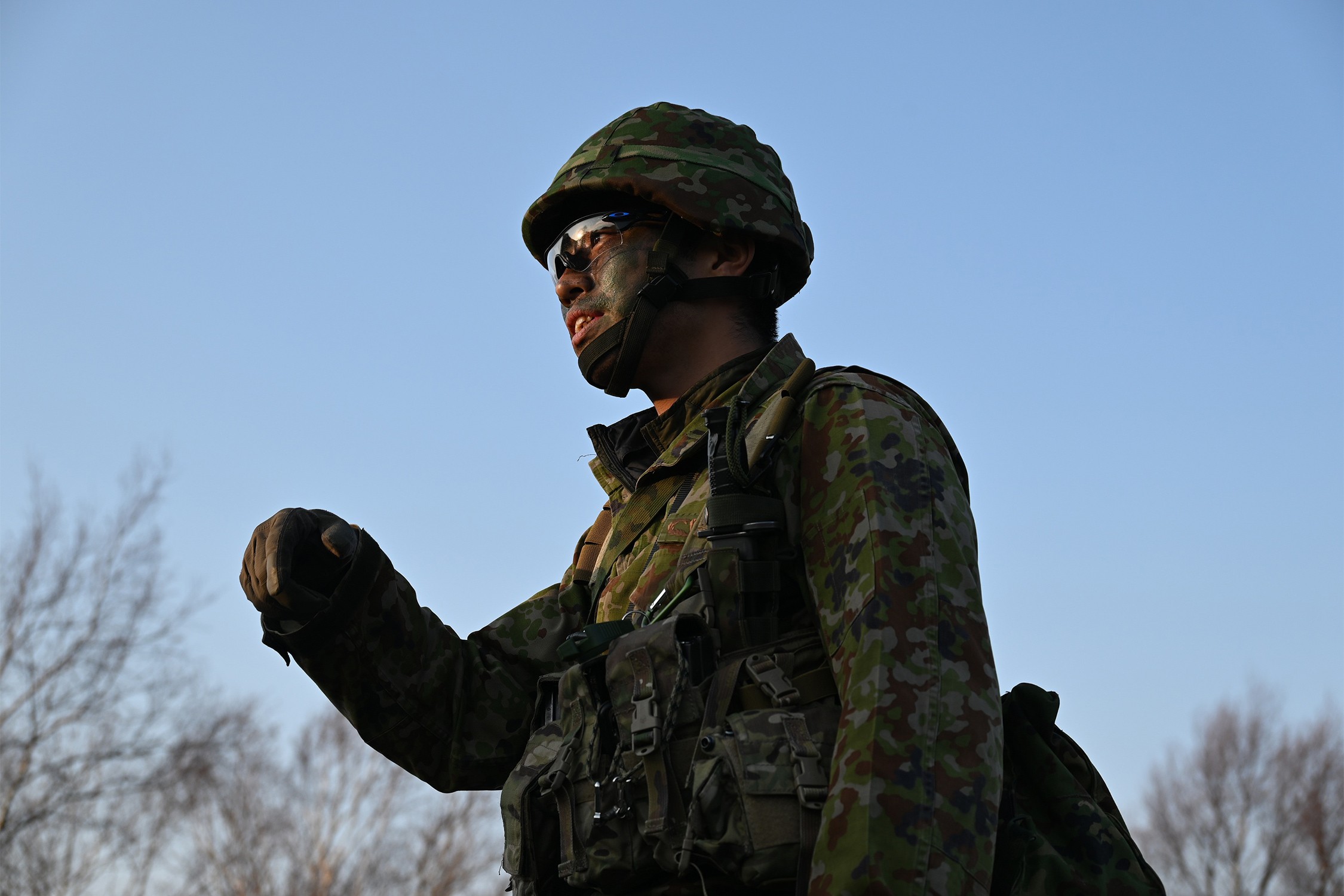 セクション画像