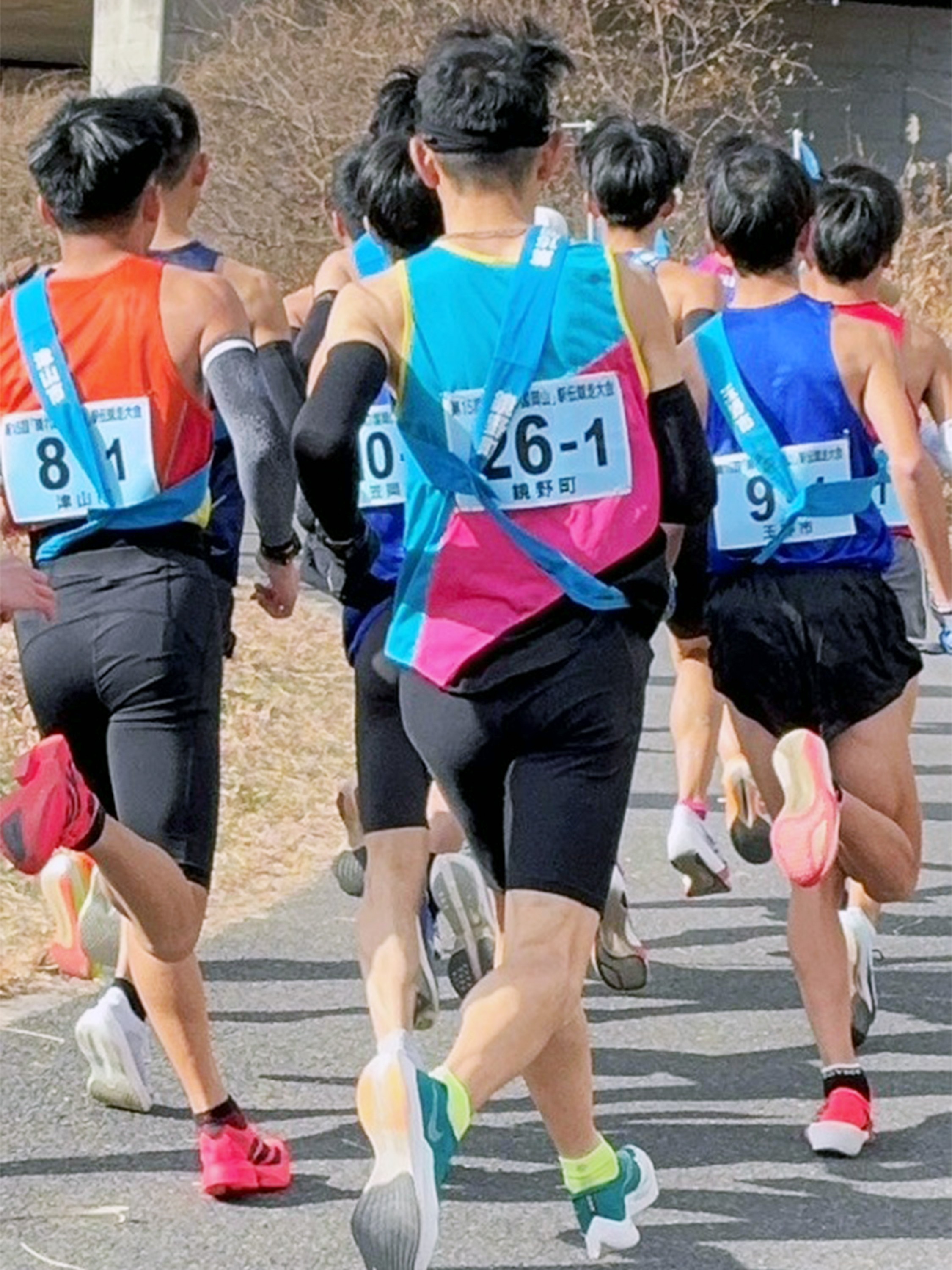 セクション画像