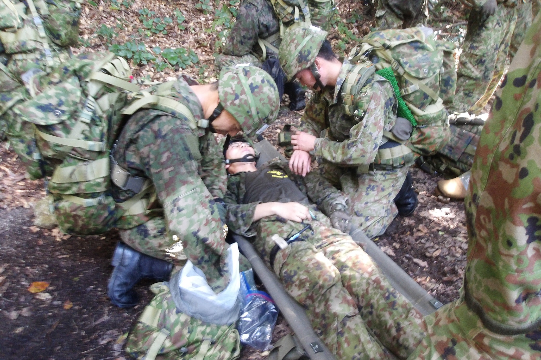 セクション画像