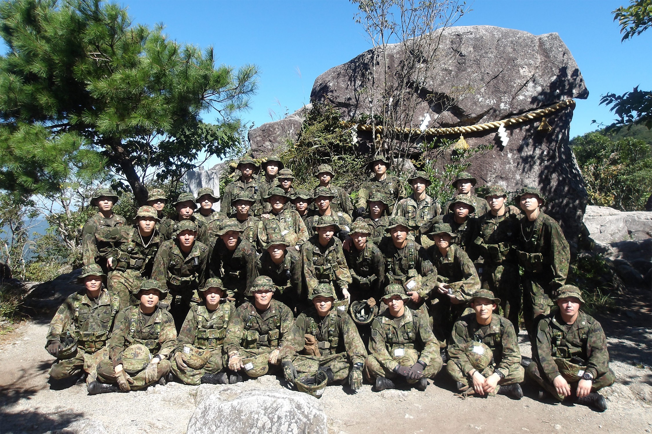 セクション画像