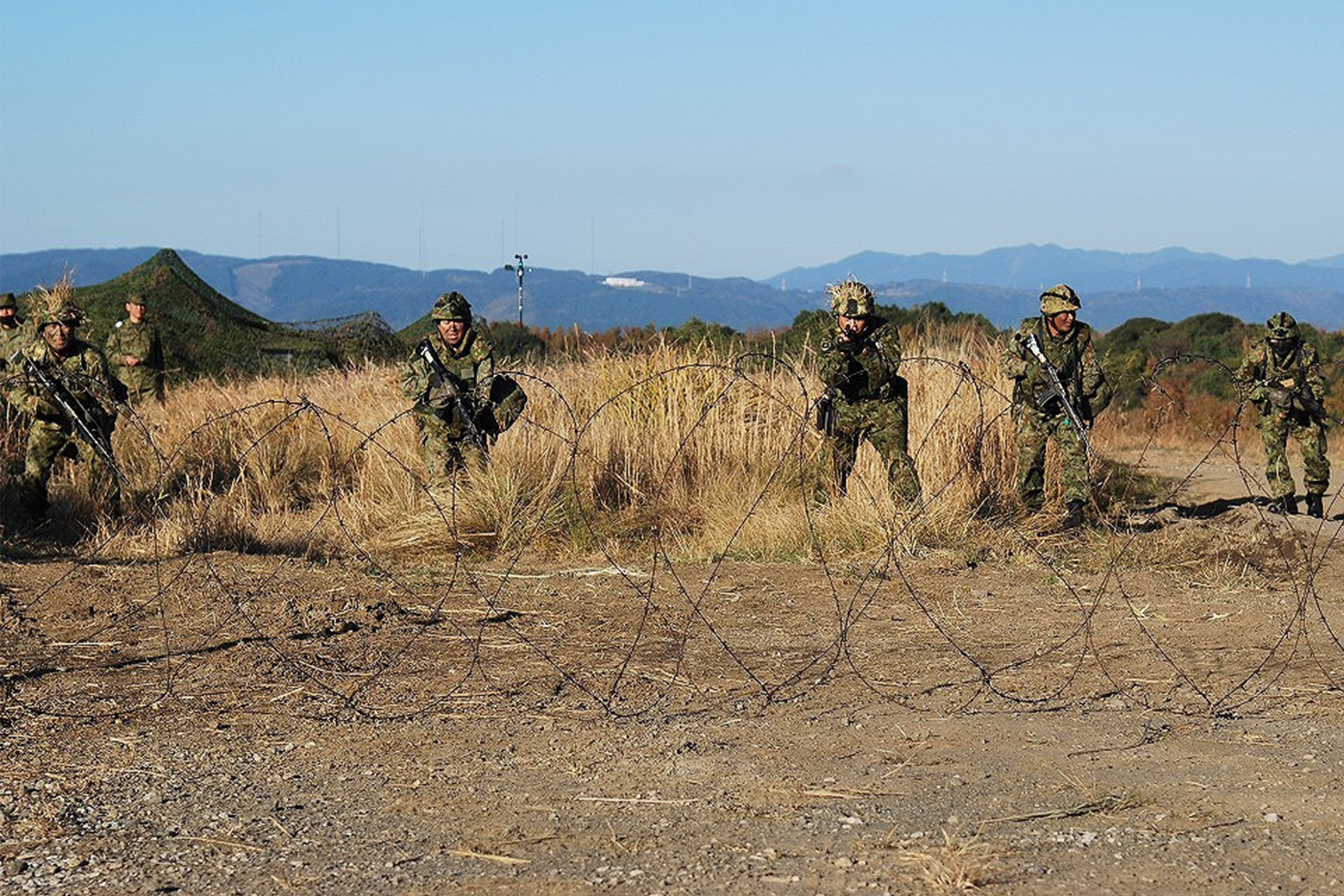 セクション画像