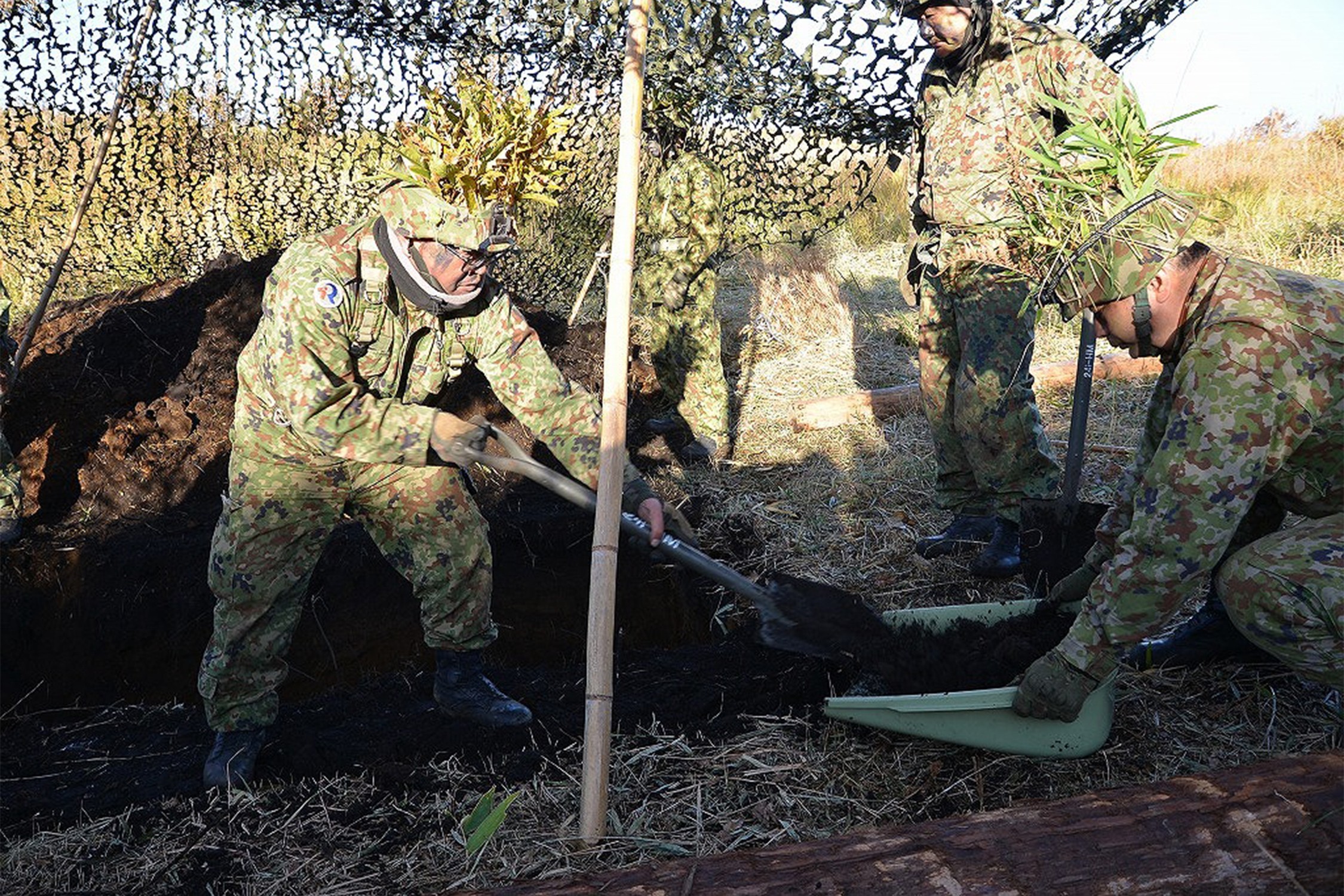 セクション画像