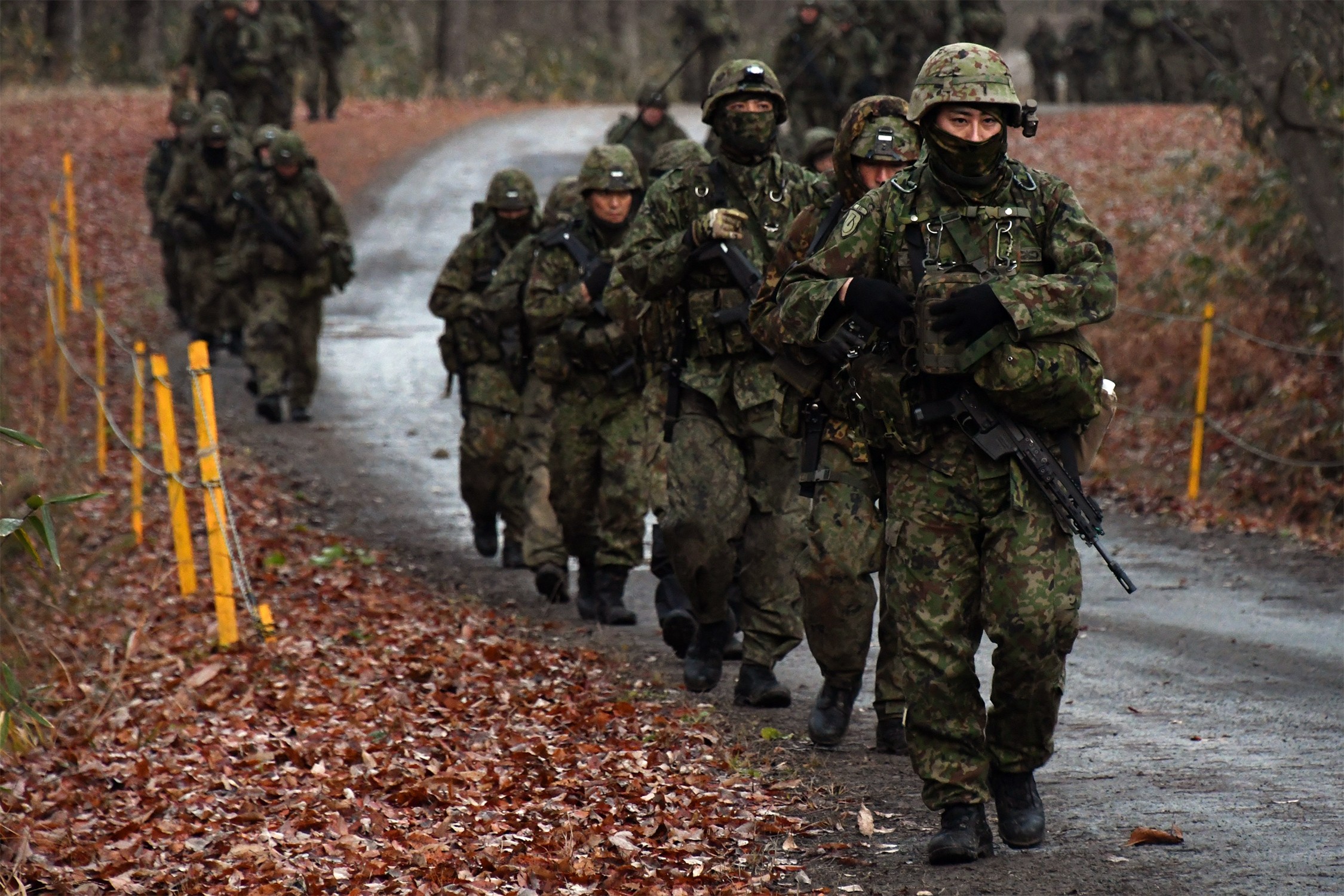 セクション画像