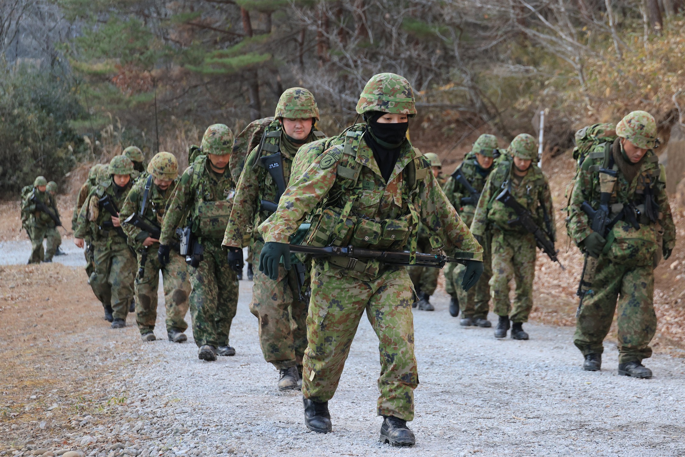 セクション画像