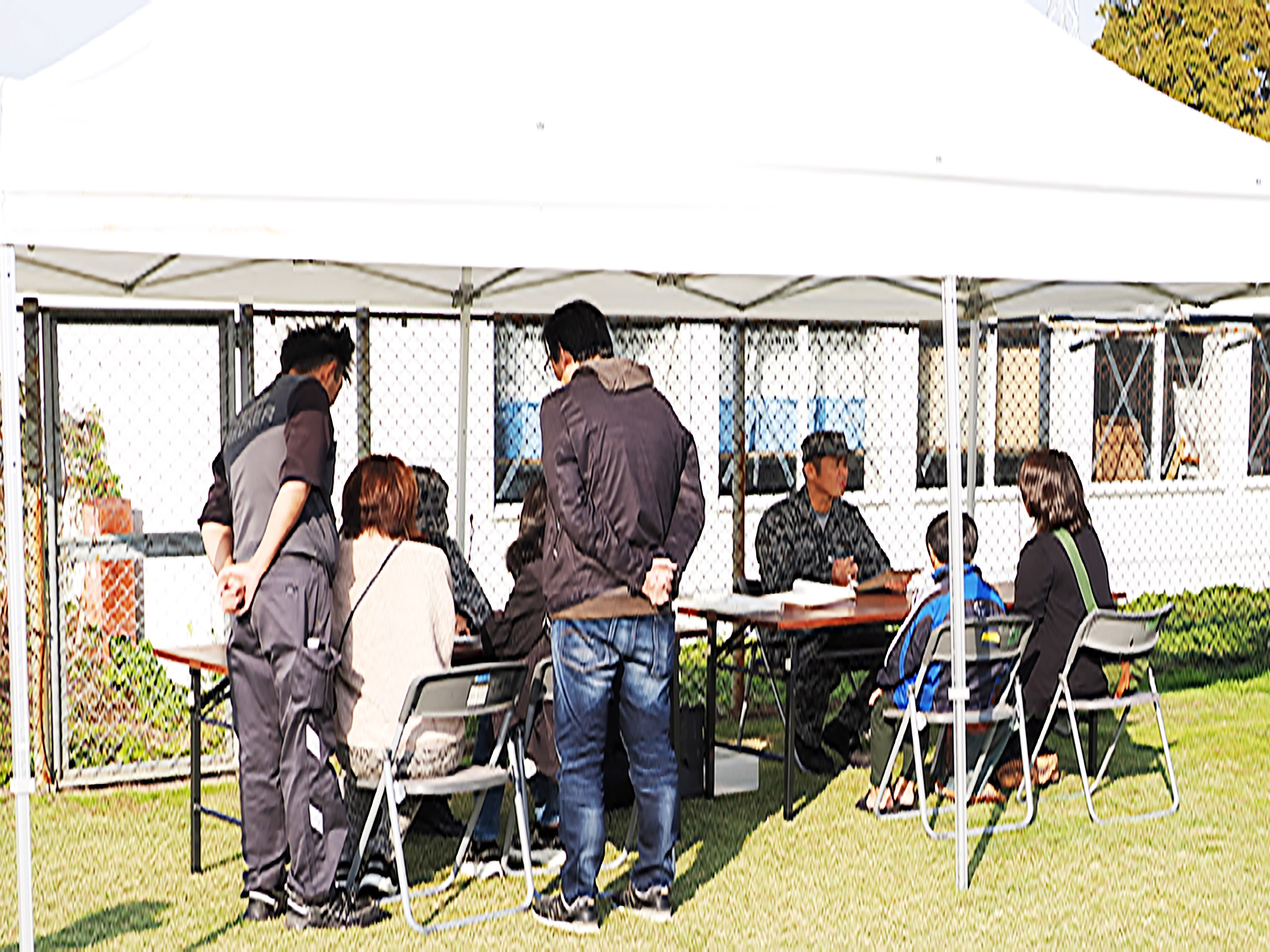 セクション画像