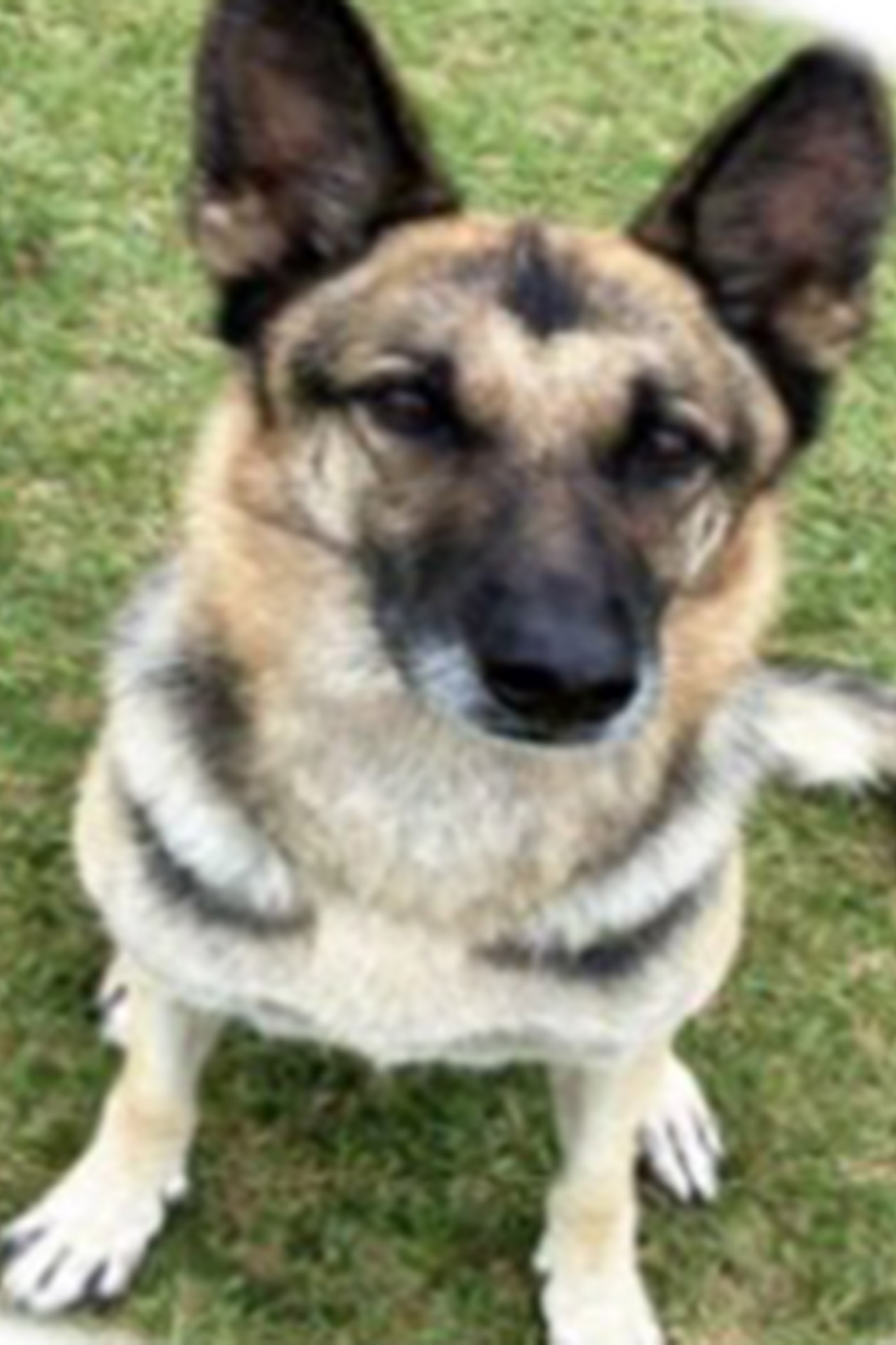 セクション画像