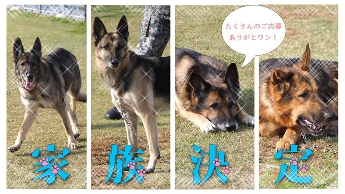 セクション画像