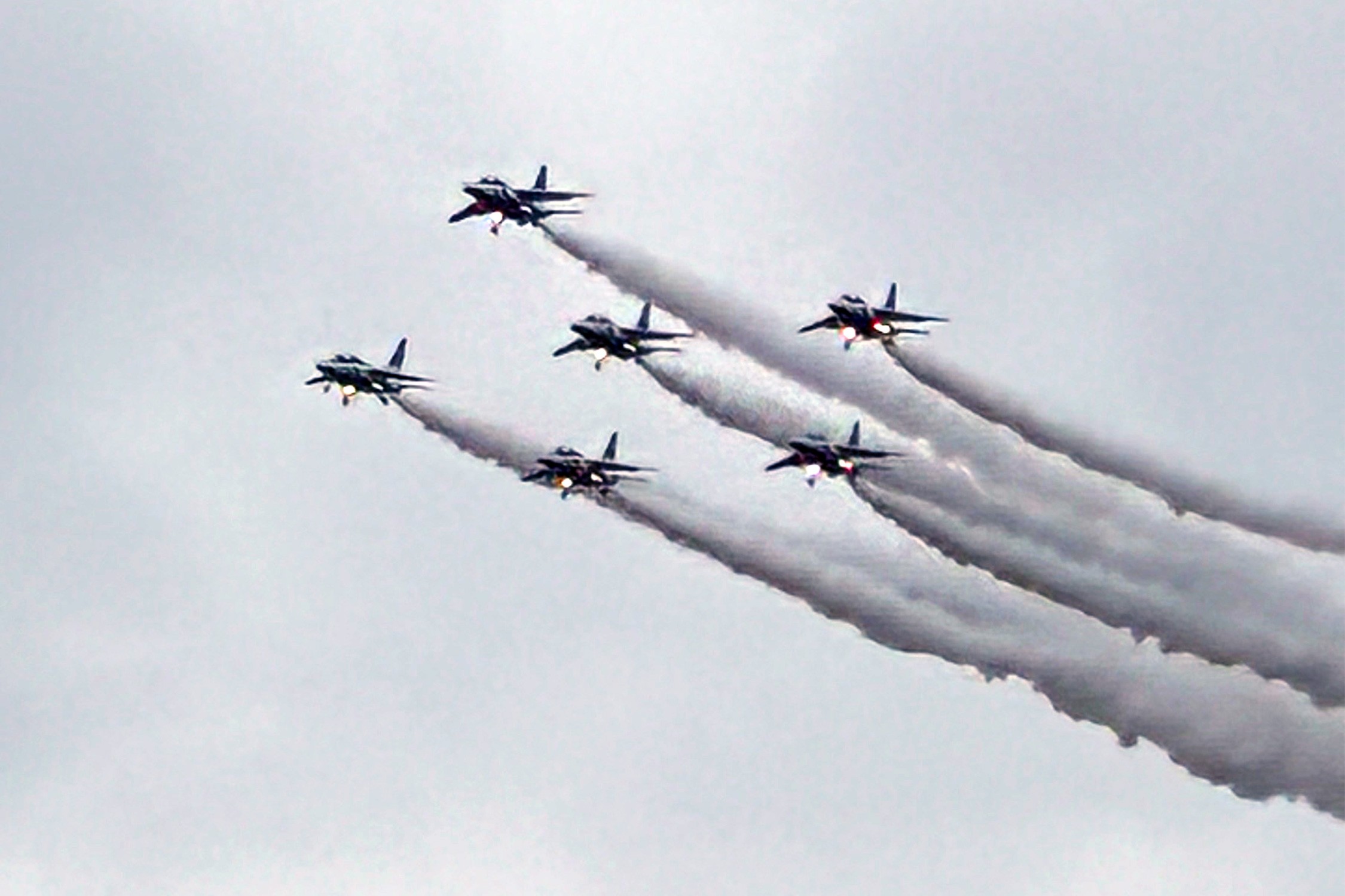 セクション画像