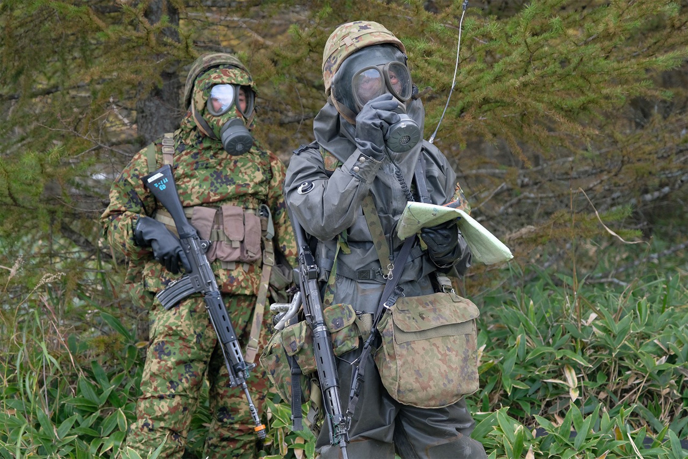 セクション画像