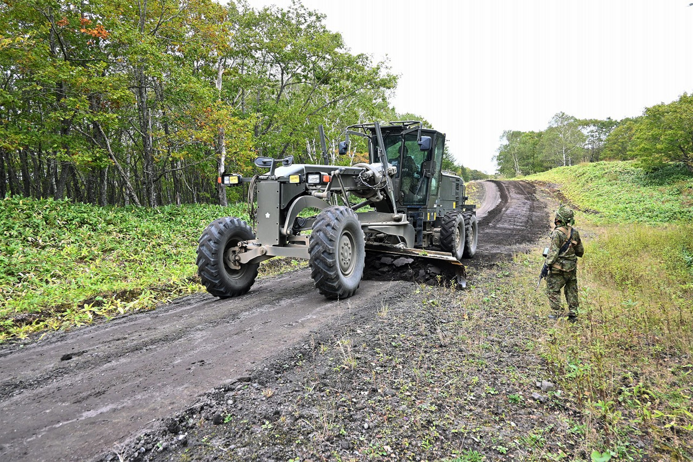 セクション画像