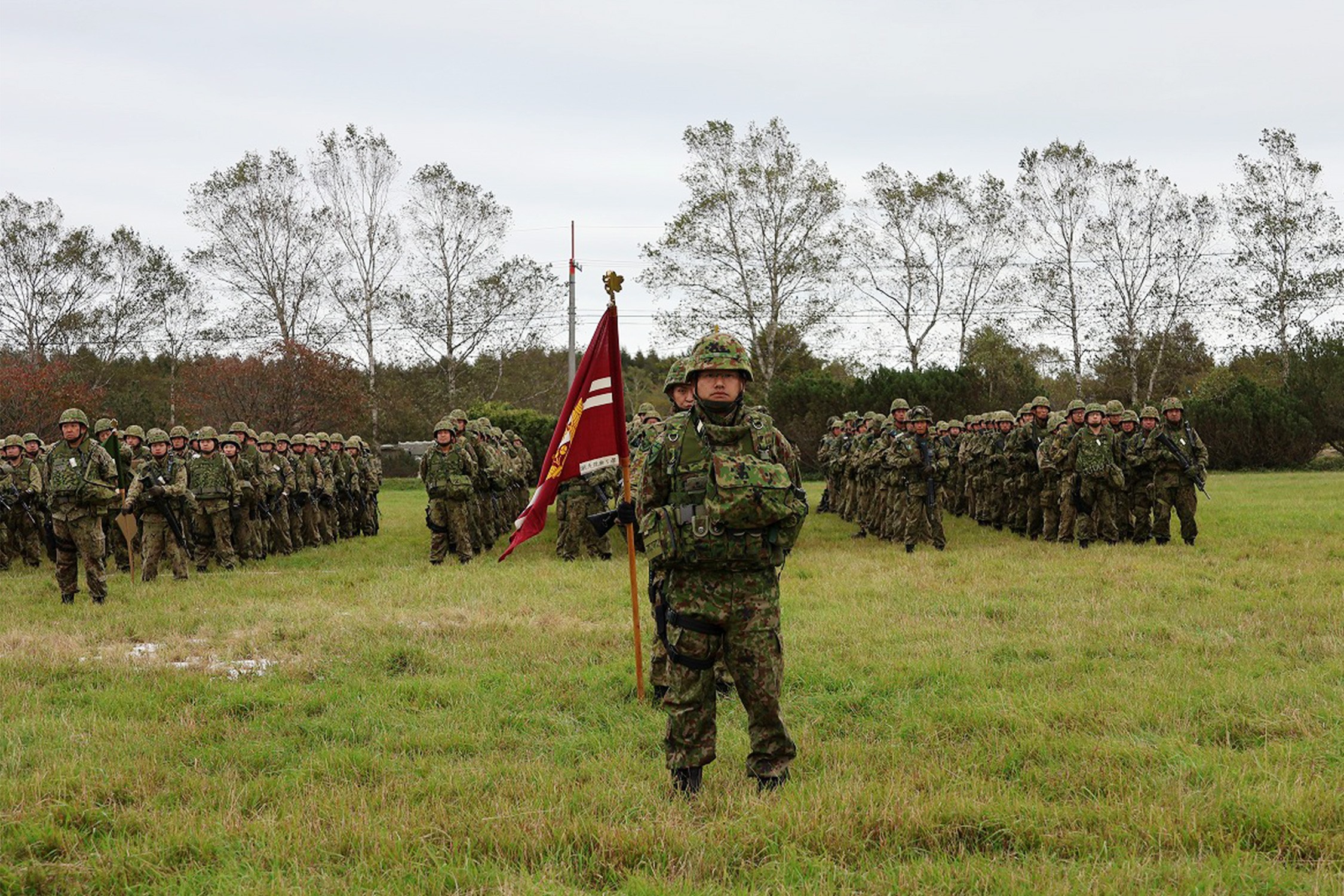 セクション画像