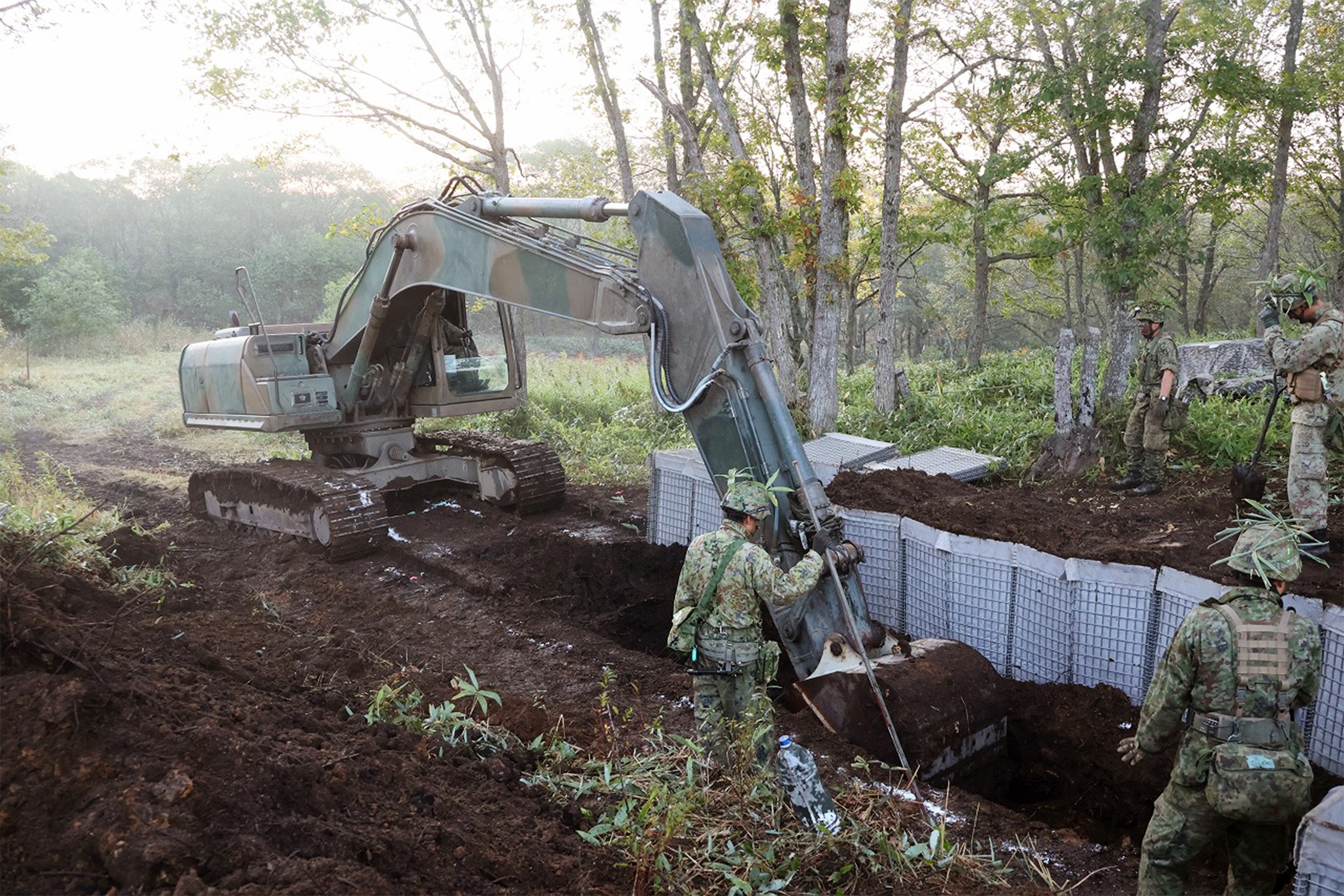 セクション画像