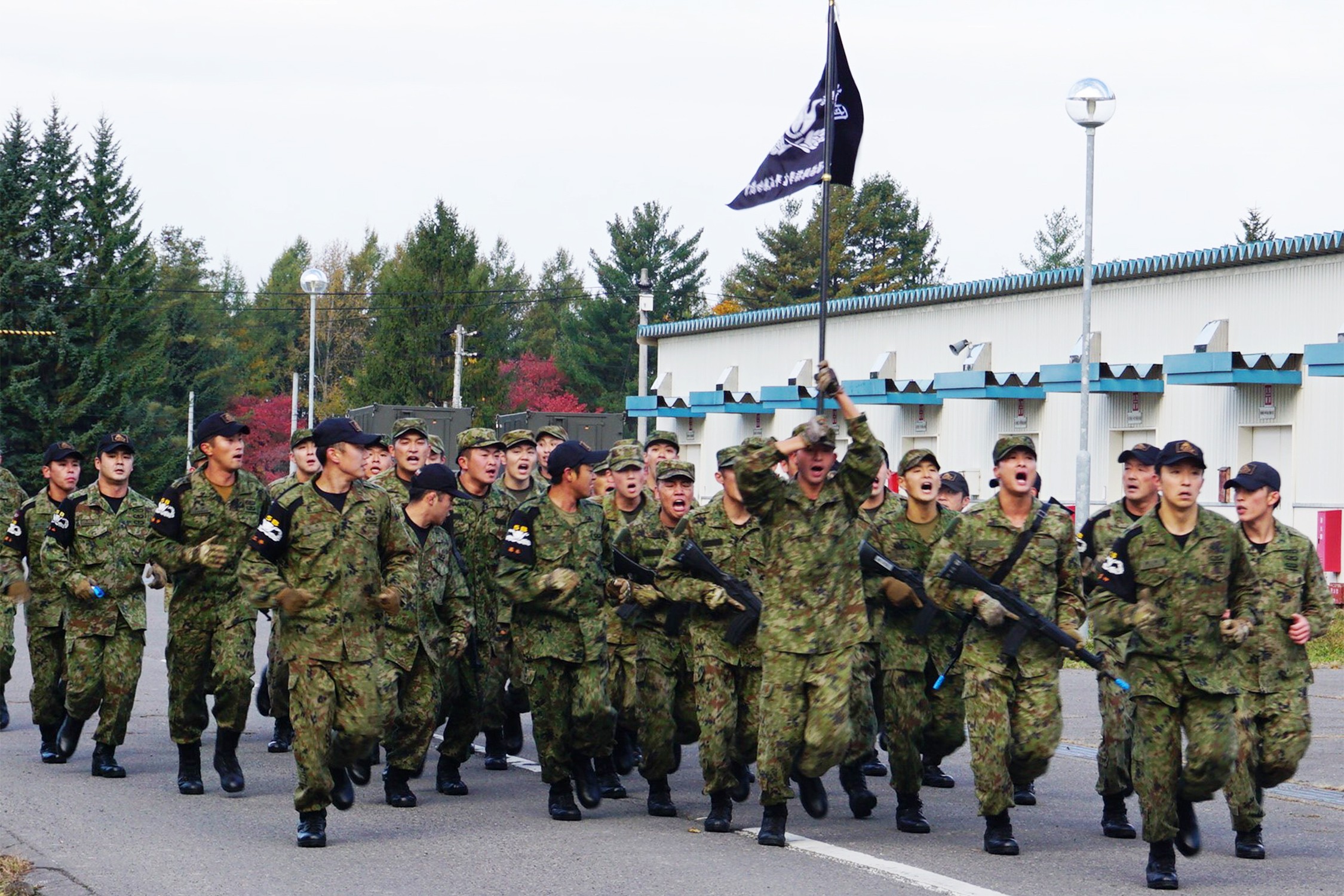 セクション画像