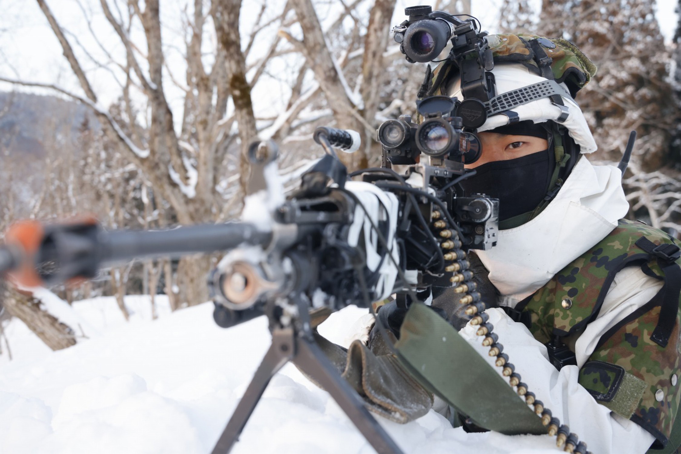 セクション画像