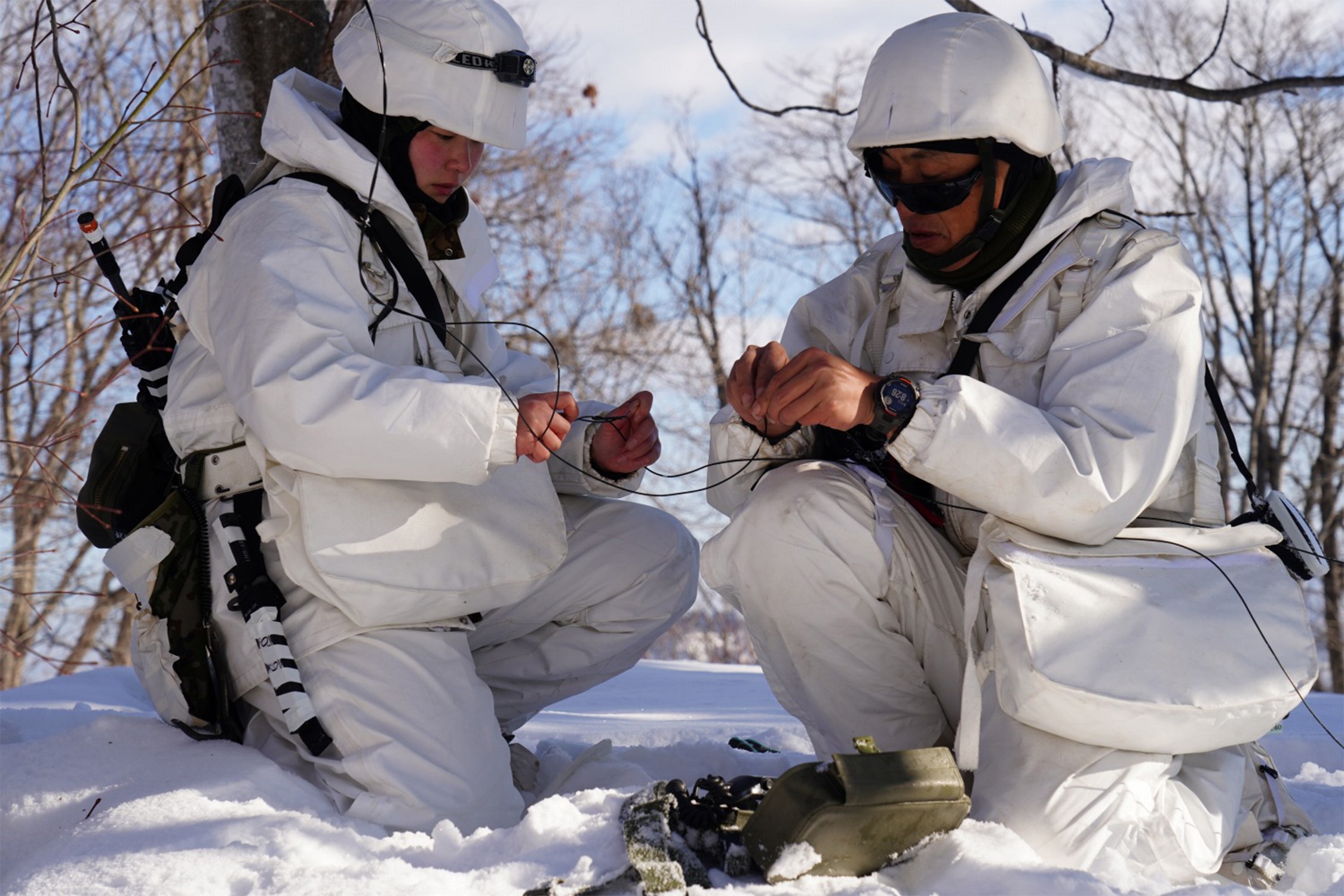 セクション画像