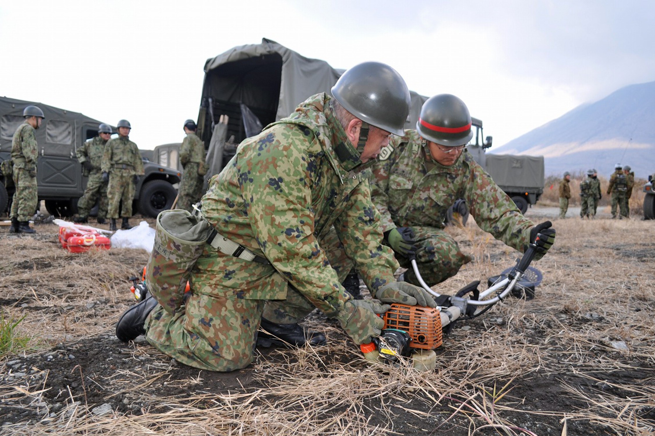 セクション画像