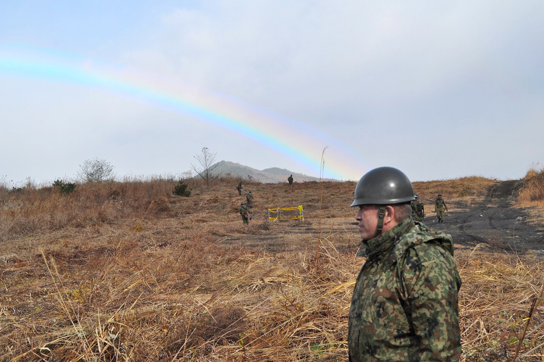 セクション画像