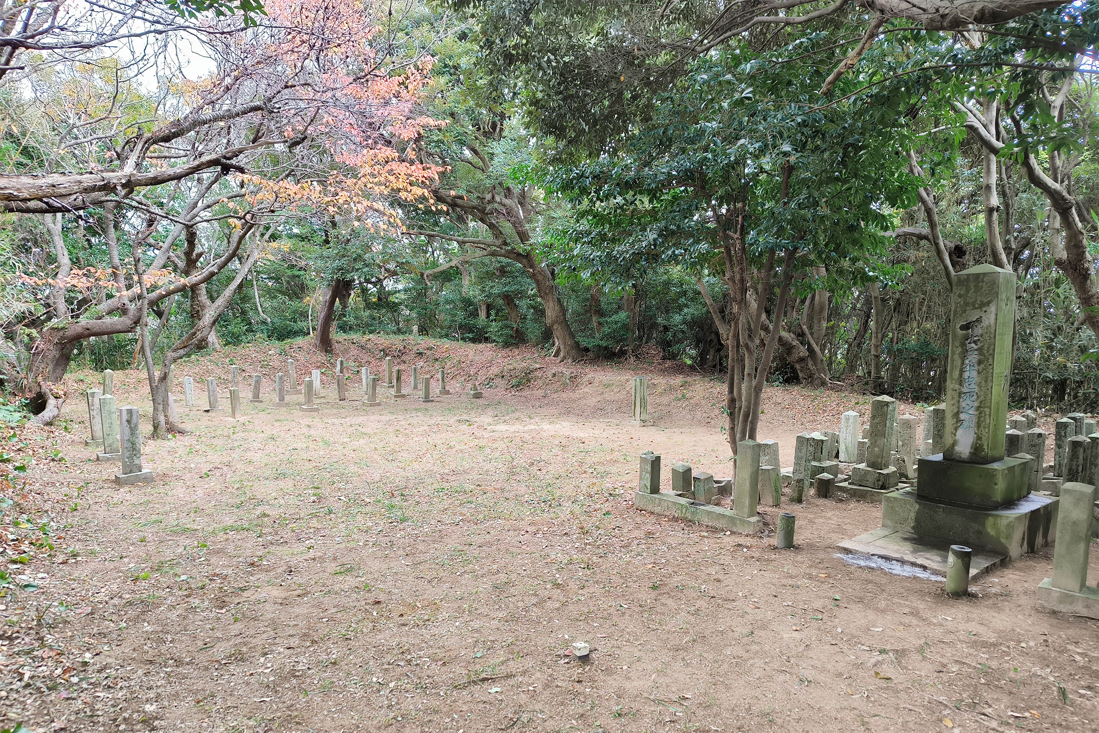 セクション画像