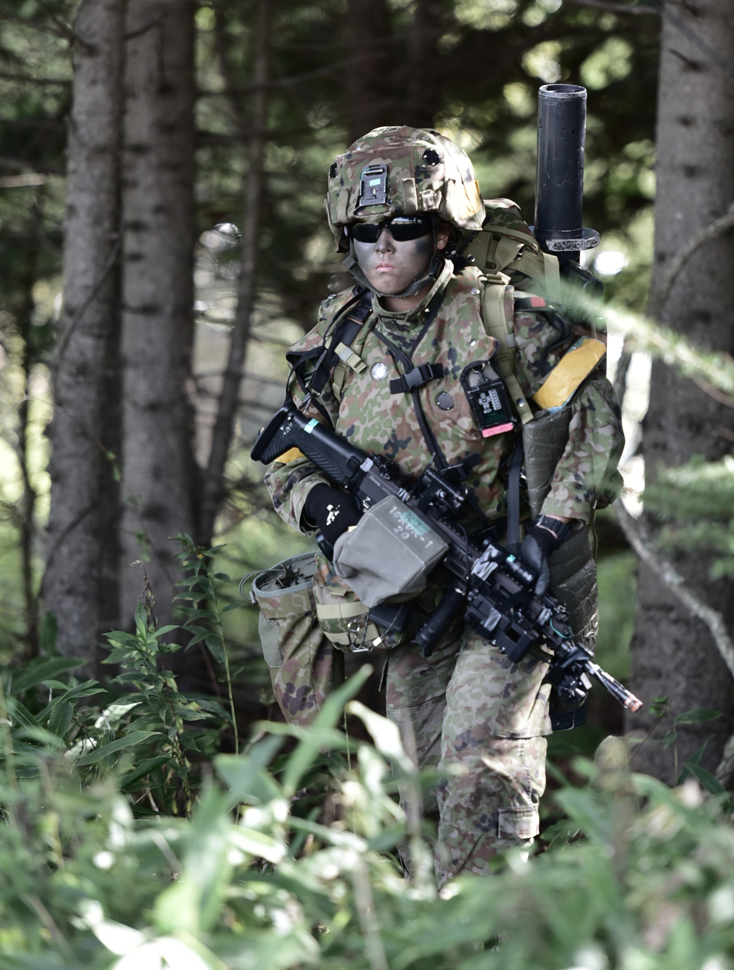 セクション画像