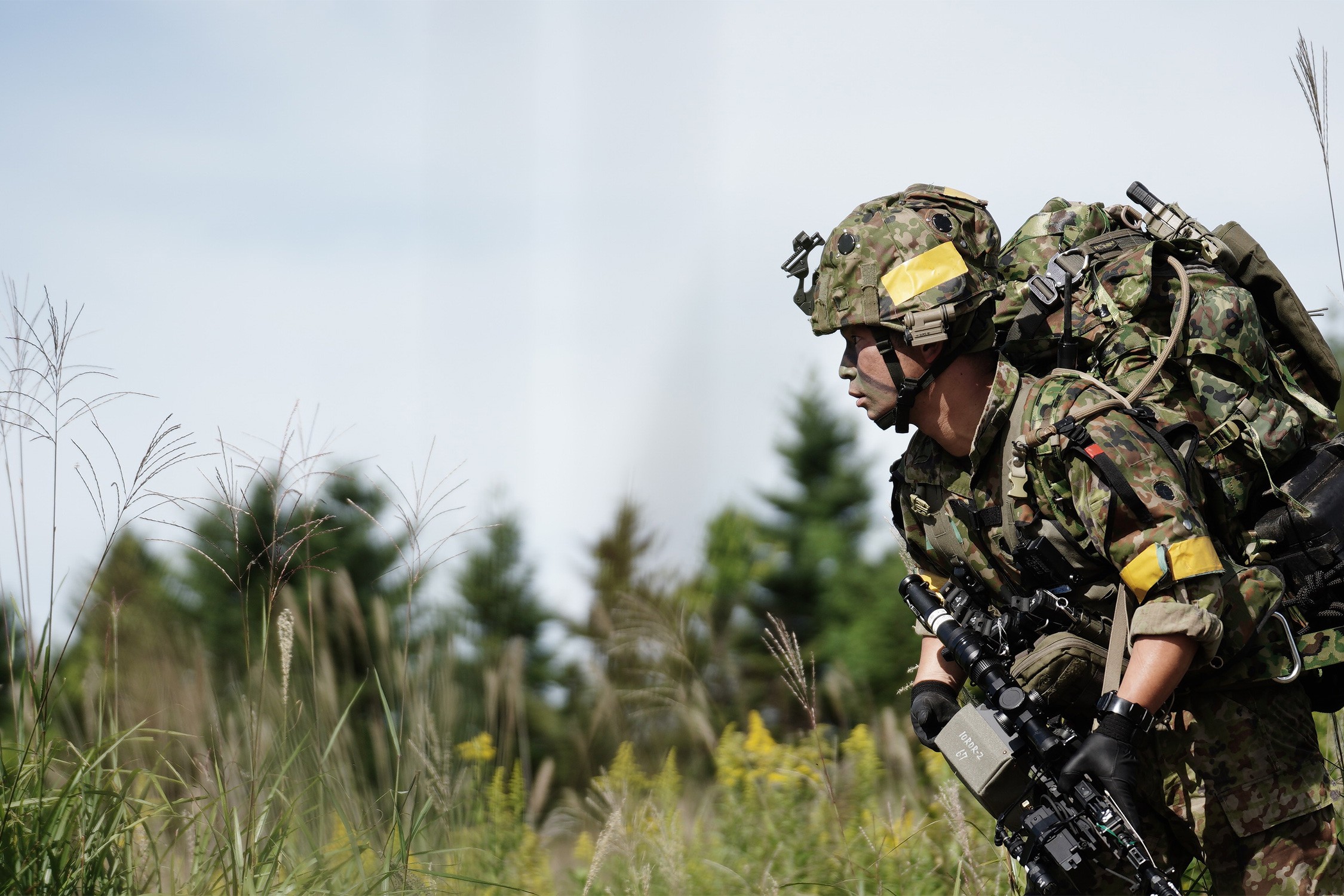 セクション画像