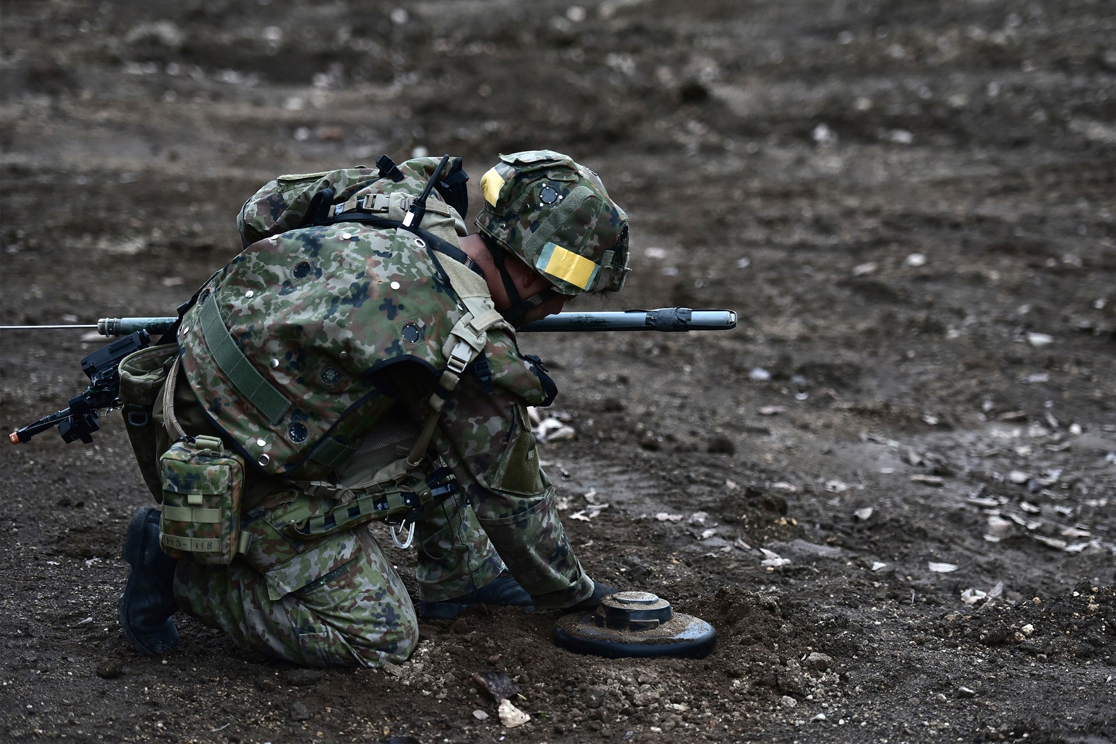 セクション画像