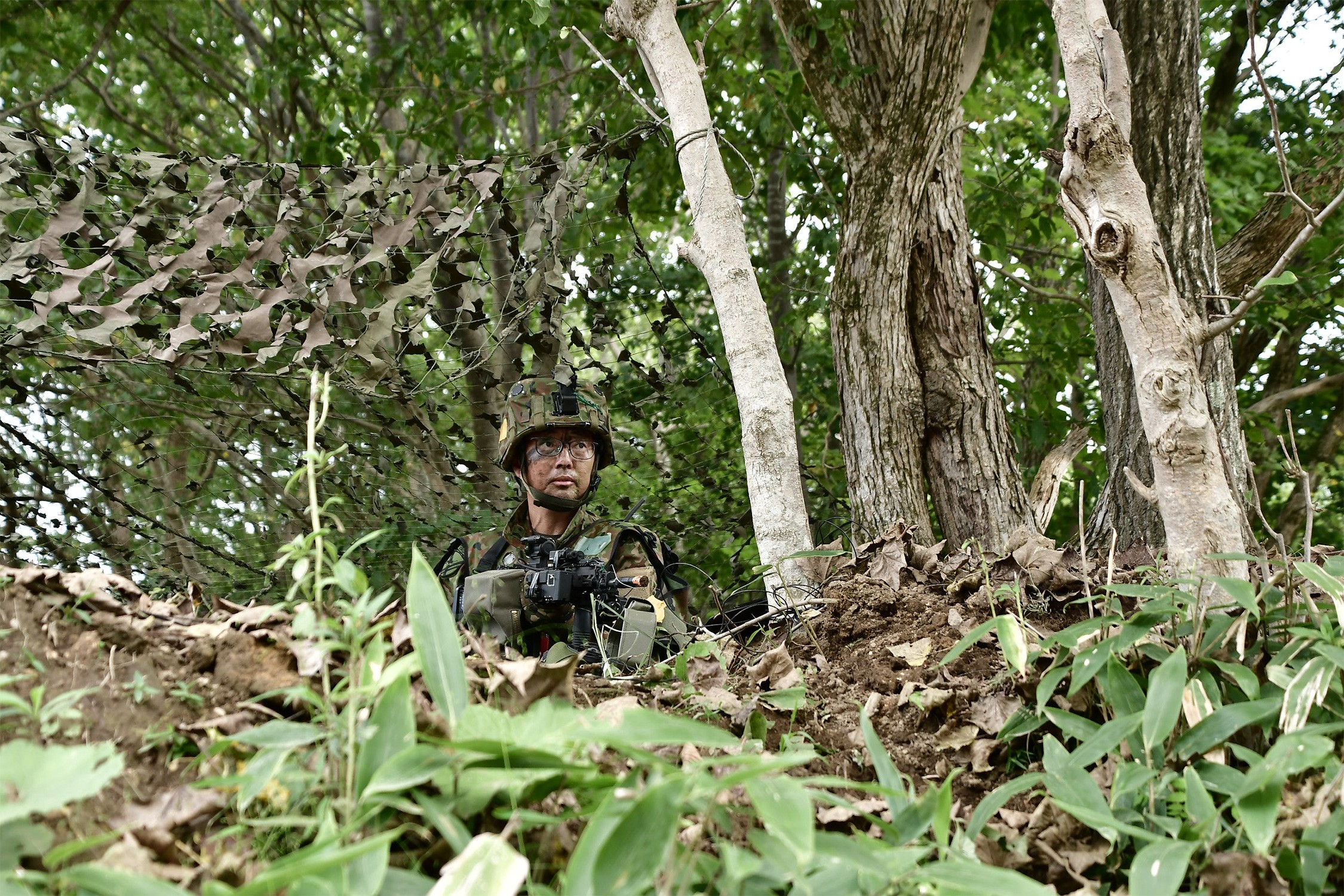 セクション画像