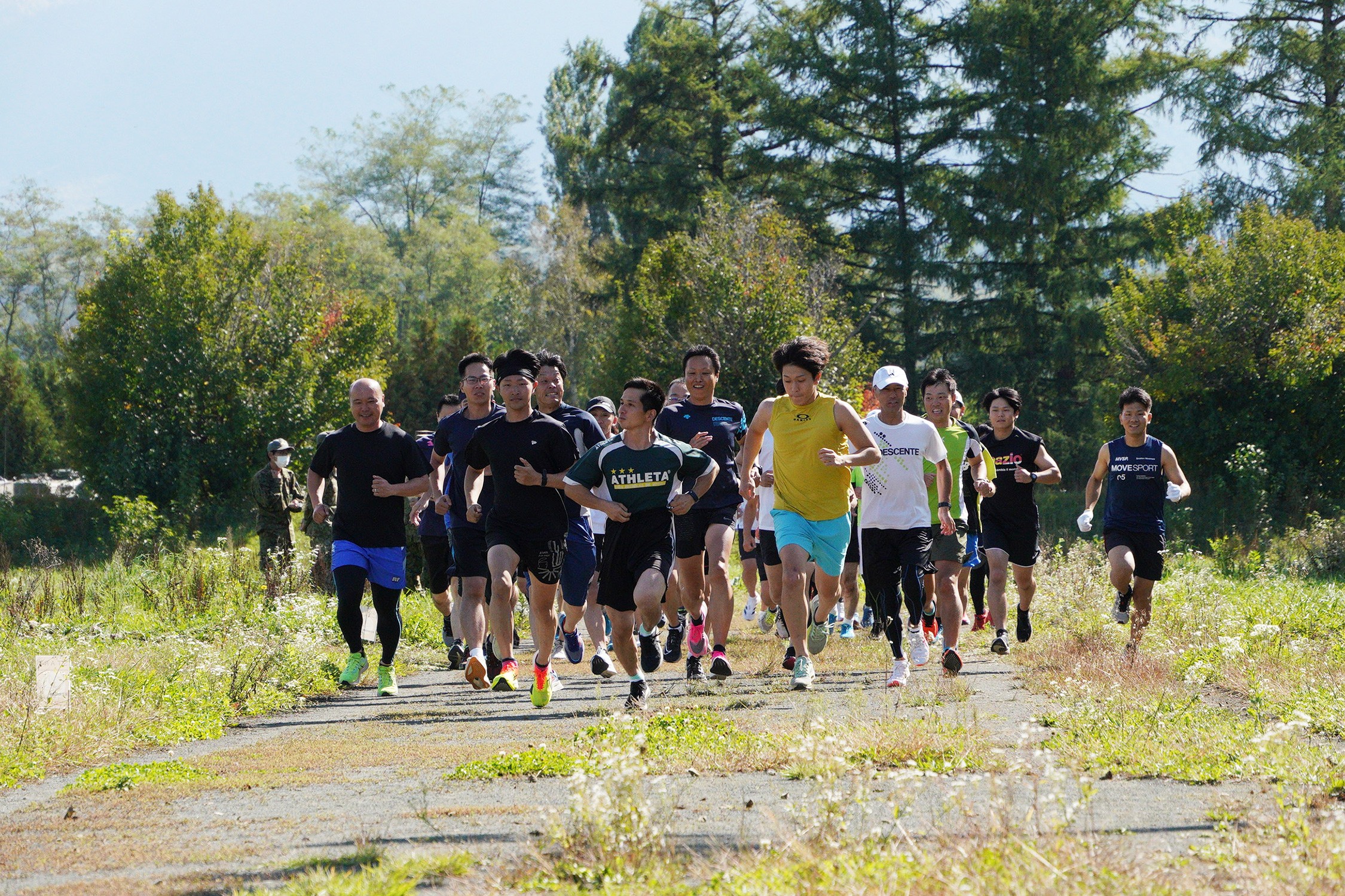 セクション画像