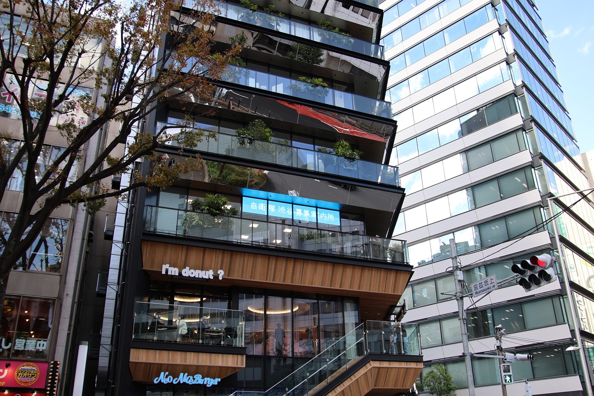 セクション画像