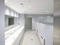 セクション画像