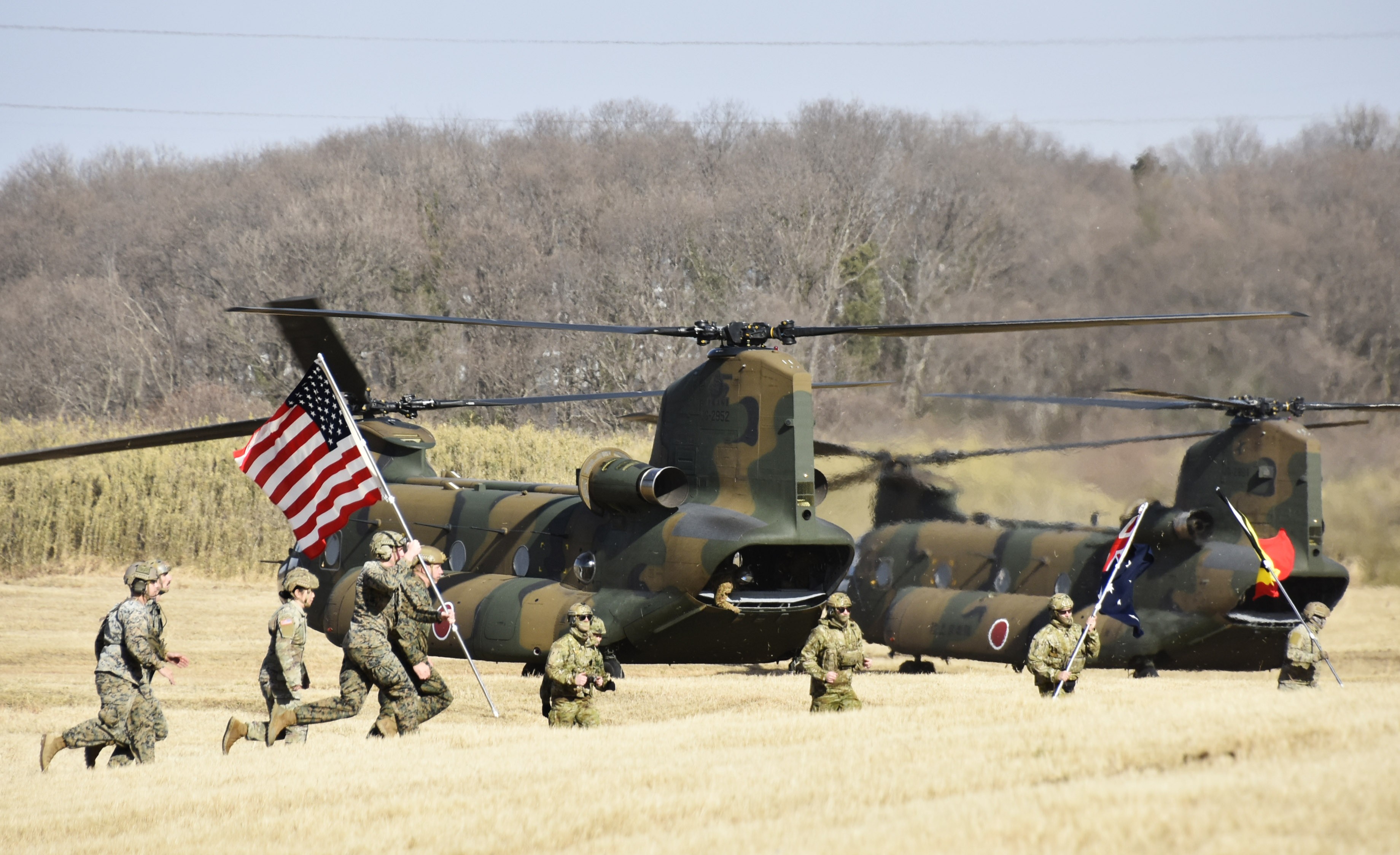 セクション画像