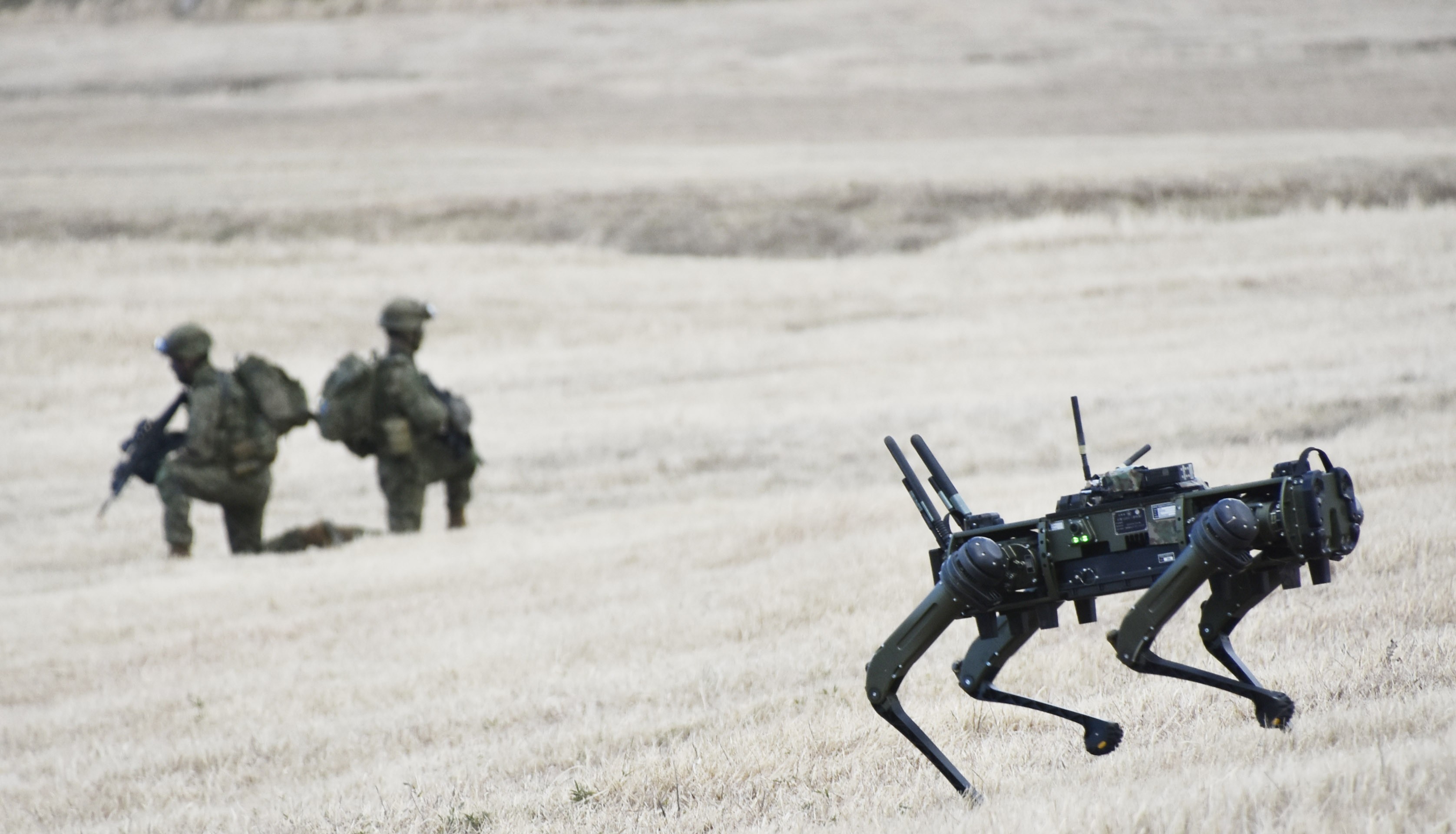 降下訓練始めに最多15か国参加 ロボット犬UGVも公開｜習志野演習場