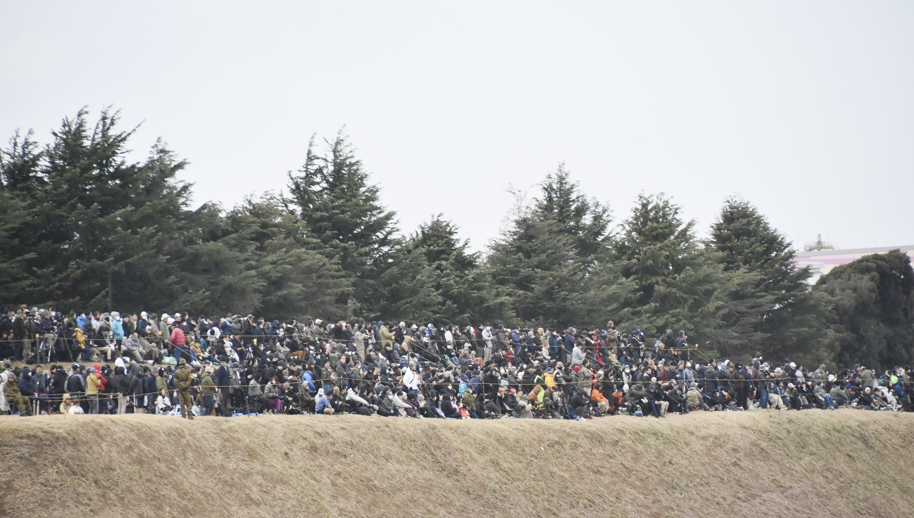 セクション画像