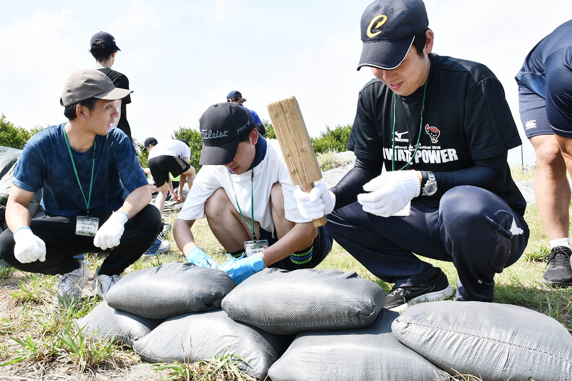 セクション画像