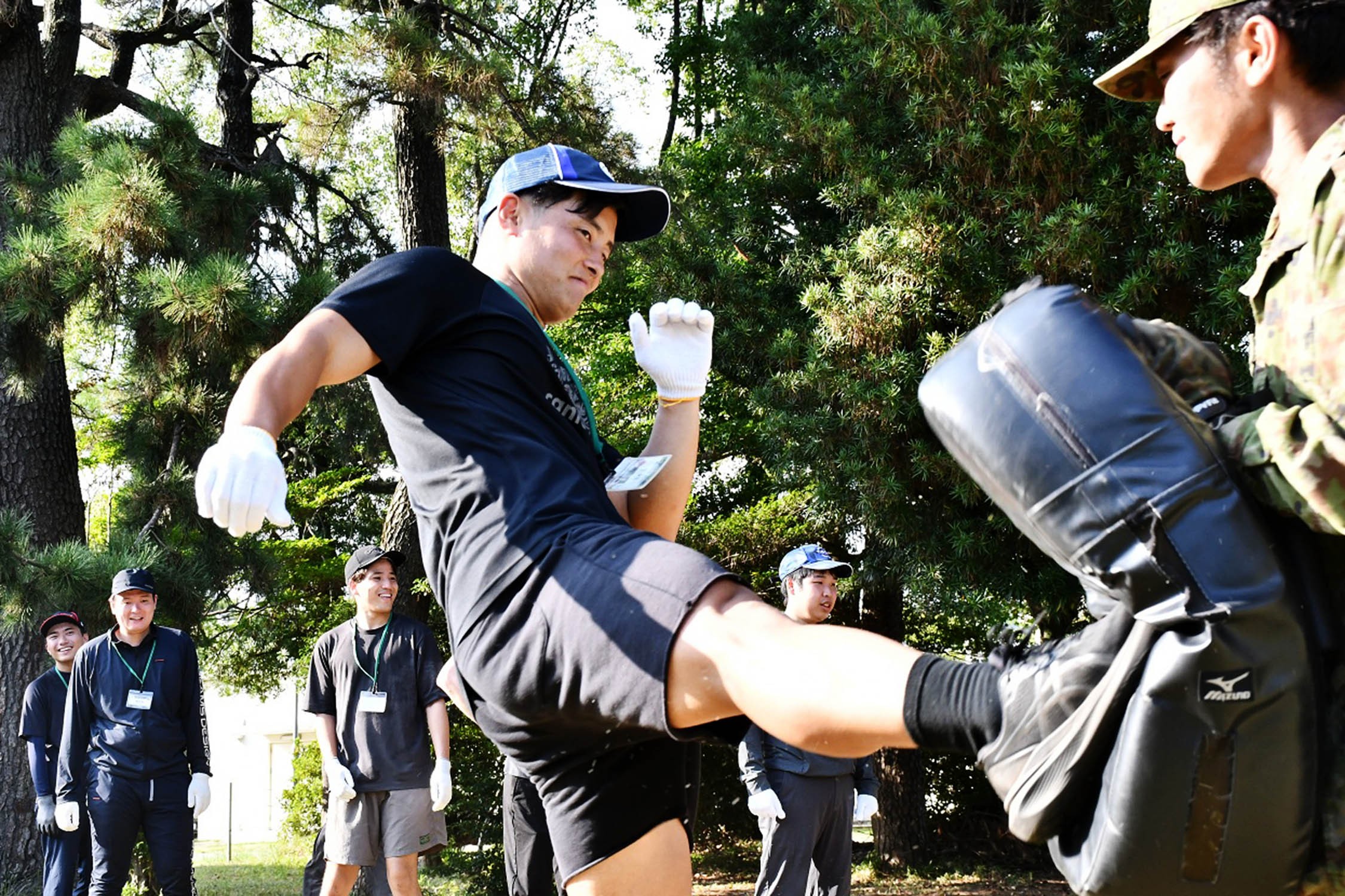 セクション画像