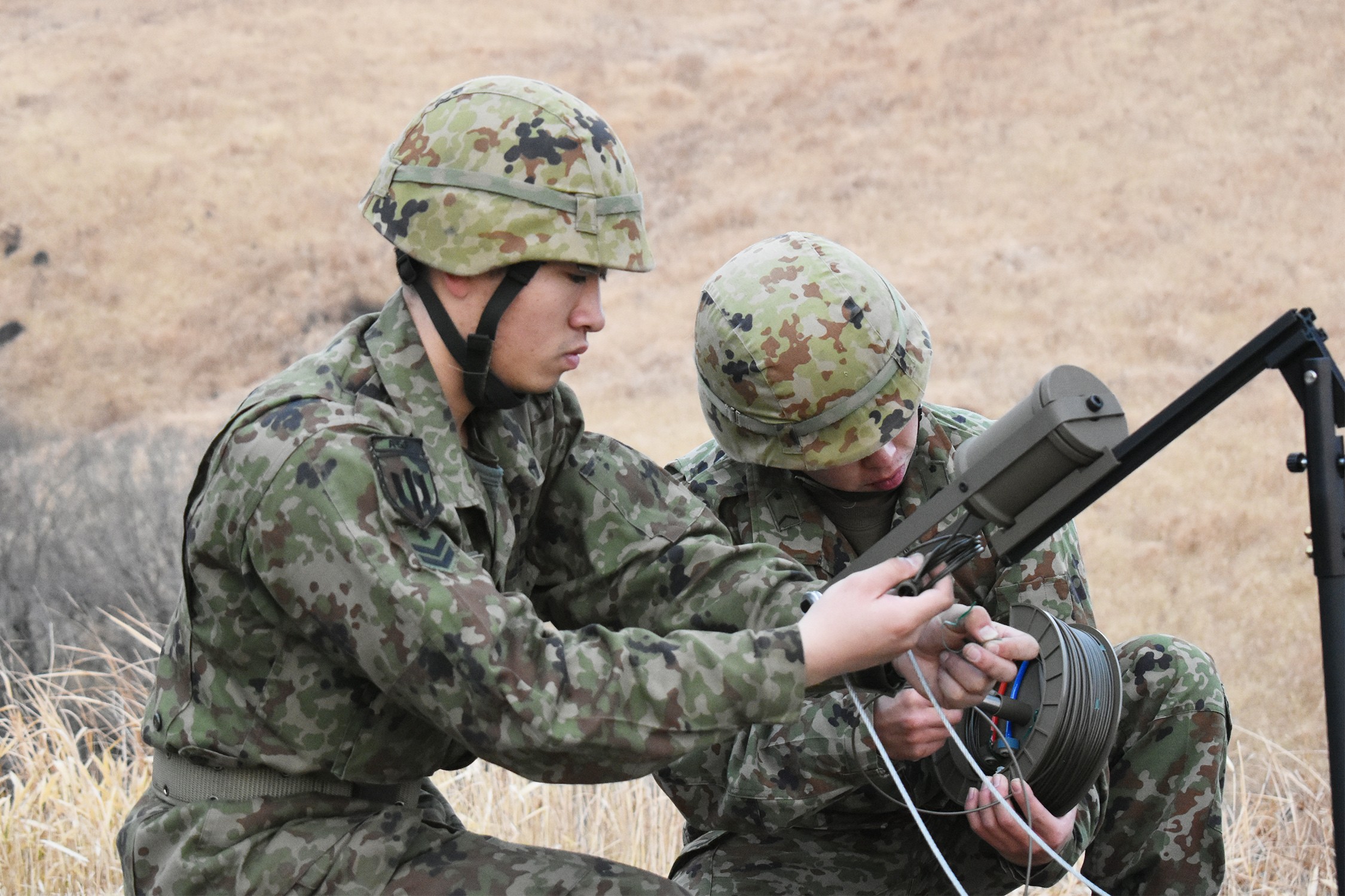 セクション画像