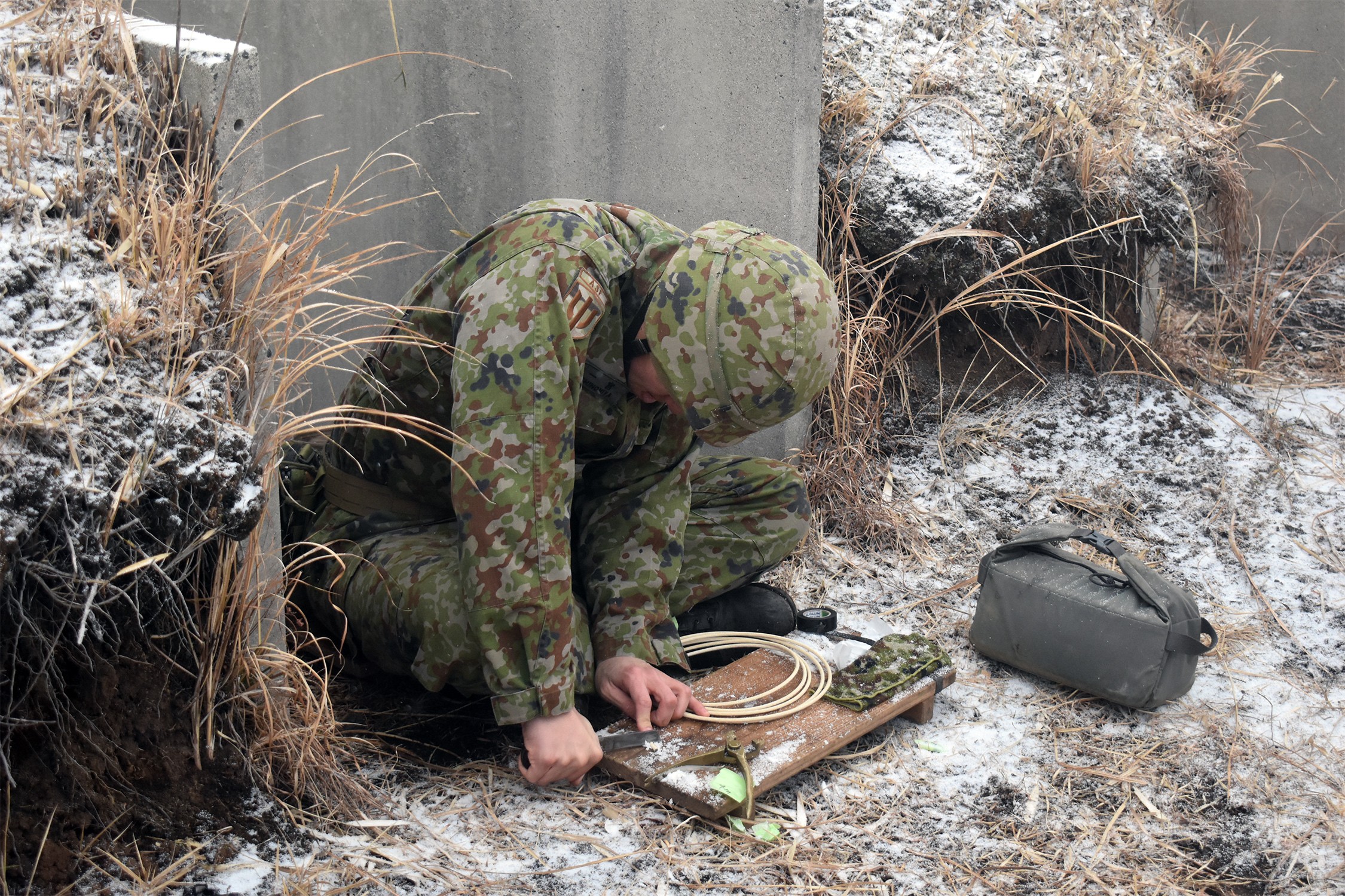 セクション画像