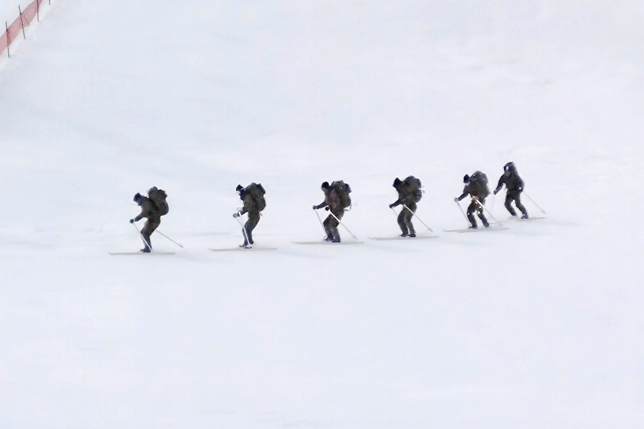 セクション画像