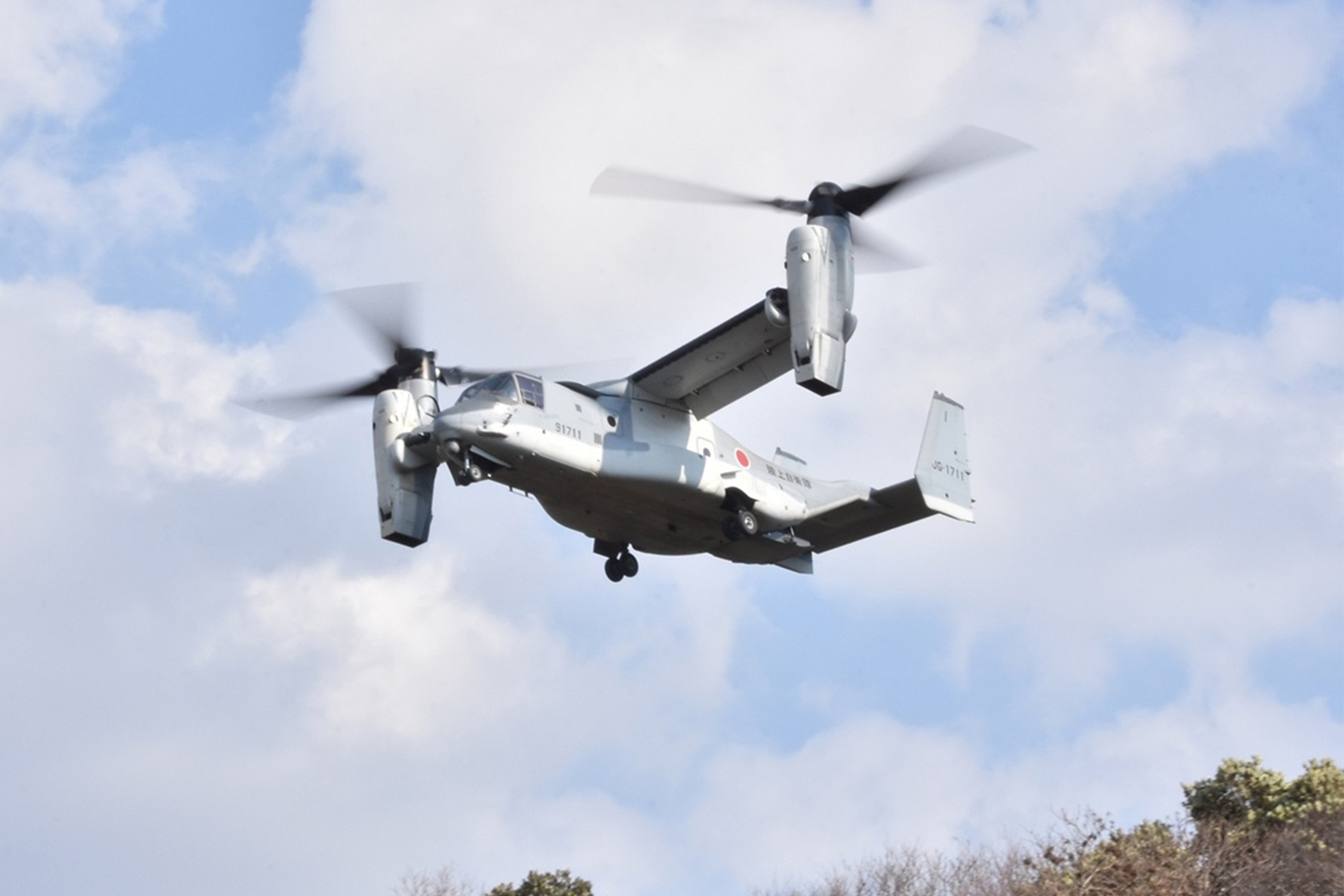 セクション画像