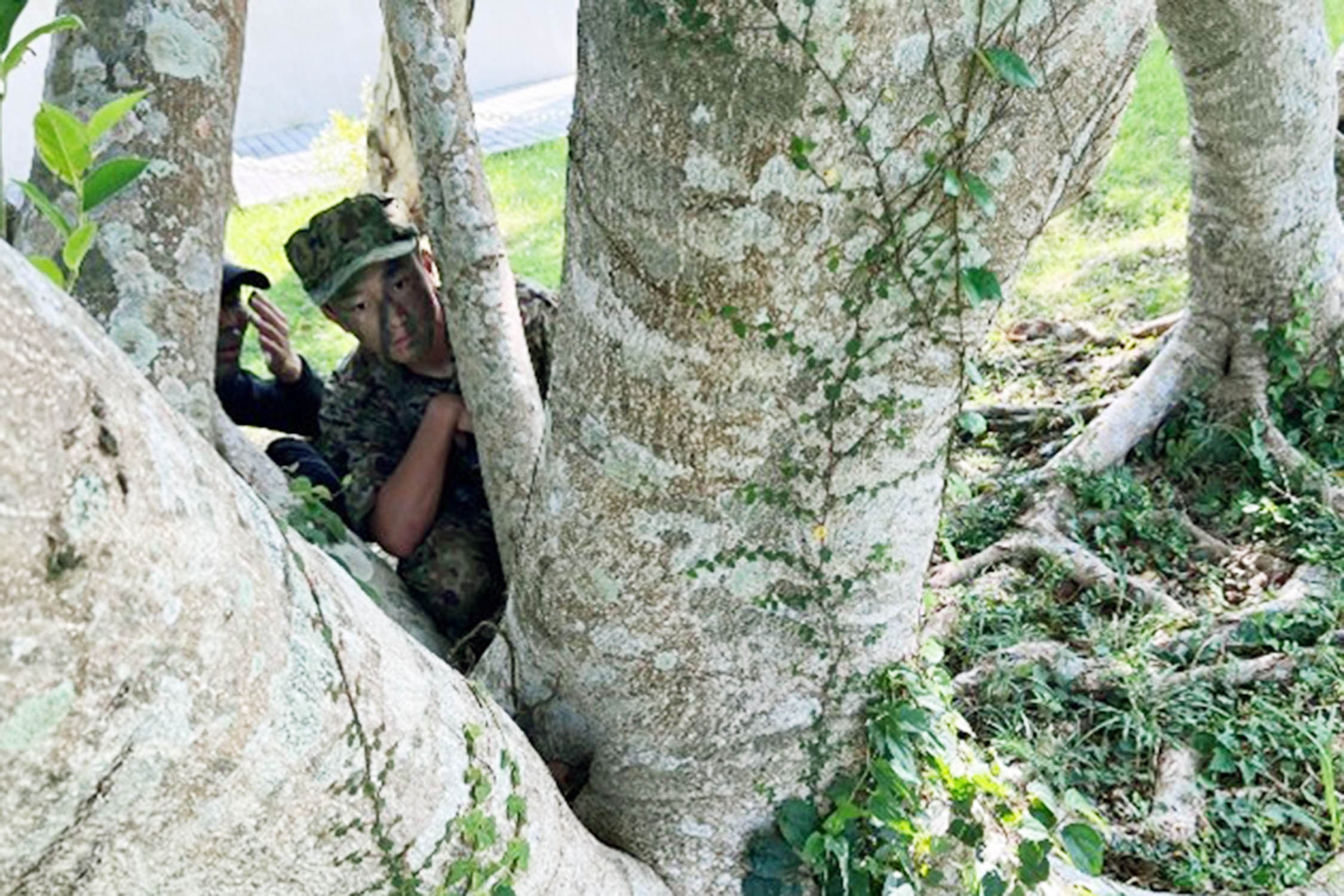 セクション画像